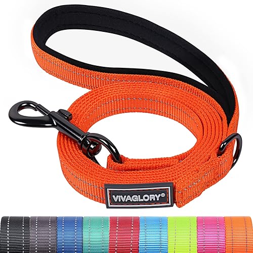 VIVAGLORY Dog Leash Dailyx Pet Leash with Soft Padded Handle