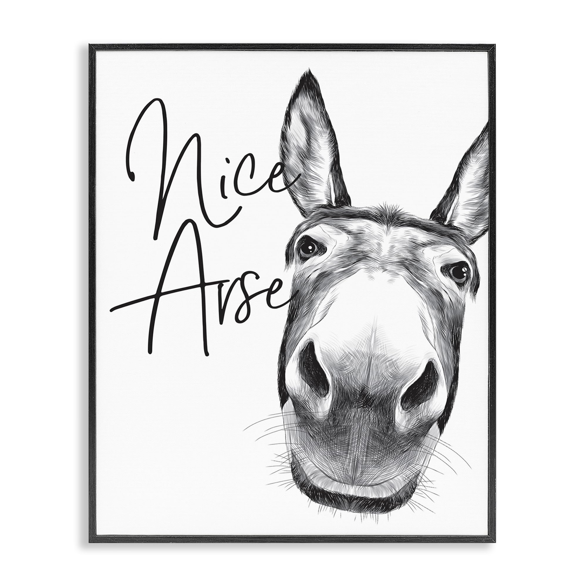 Donkey Bathroom Humor Comic, 16 x 20 Inch Framed Giclée Print