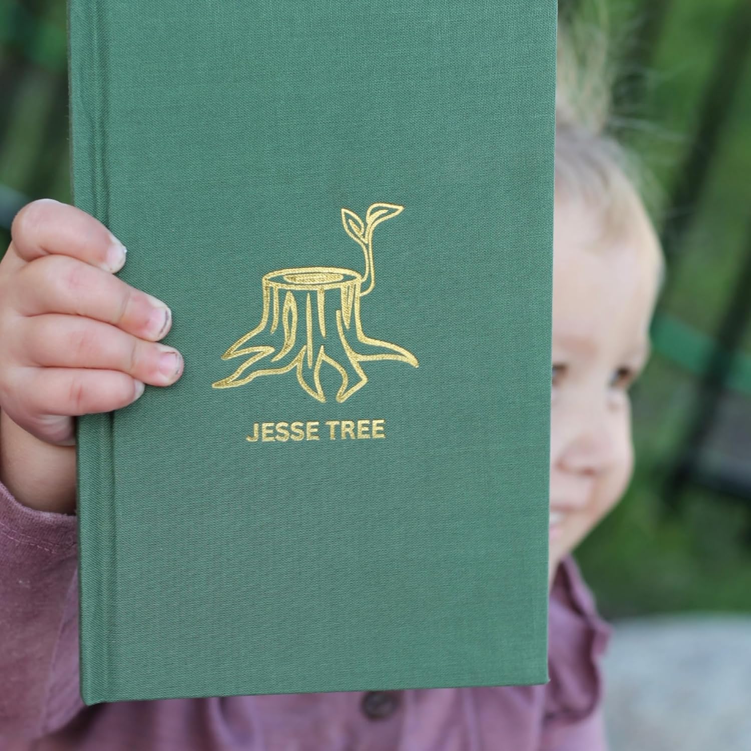 Catholic Sprouts - The Jesse Tree Advent Devotional for Families - Bible Study for Advent, Includes Poster and Reusable Sticker Set, Catholic Families, Christmas Preparation