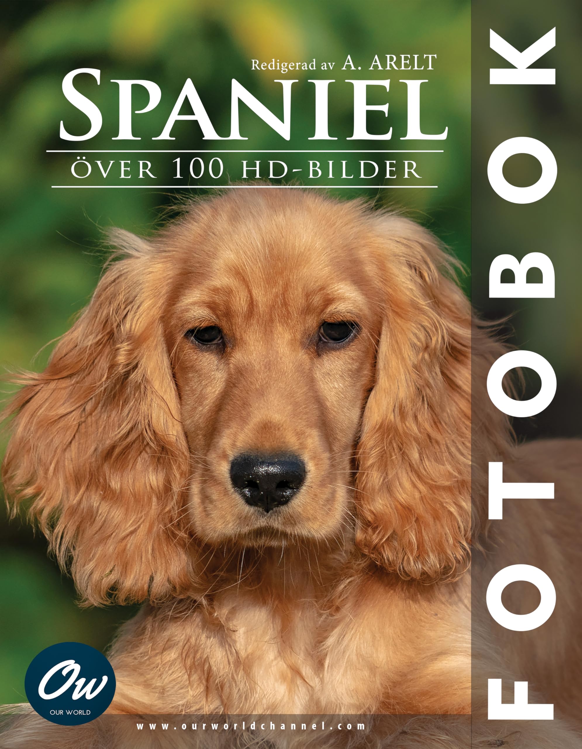 Livre photos Spaniel le cadeau idéal pour amoureux de chiens