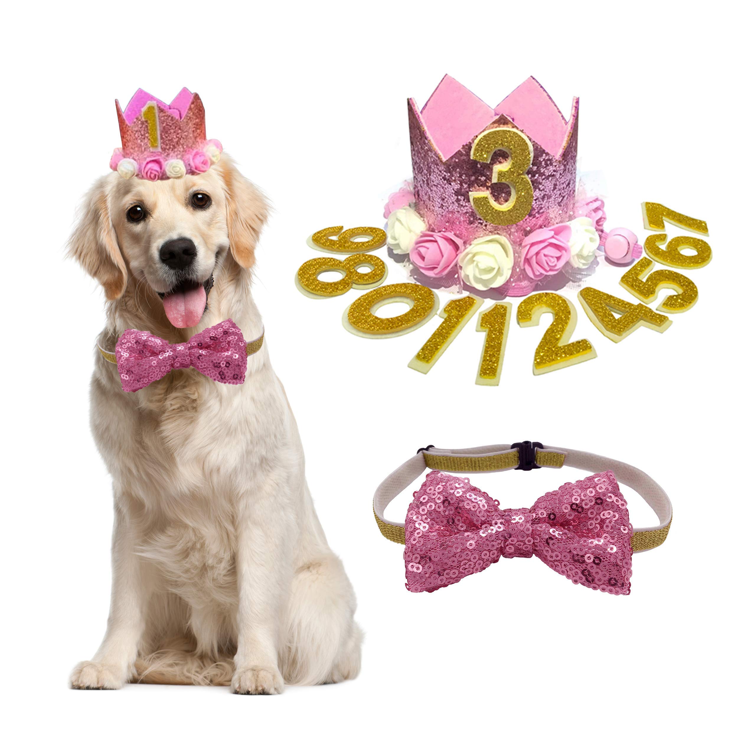 POSAPET Cat Dog Birthday Crown Hat and Bow Tie ...
