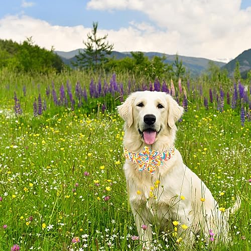 Miniatura 101 de Lionheart glory Collar de perro con bandera estadounidense, collar de flores para perro del 4 de julio, resistente y ajustable, collar patriótico