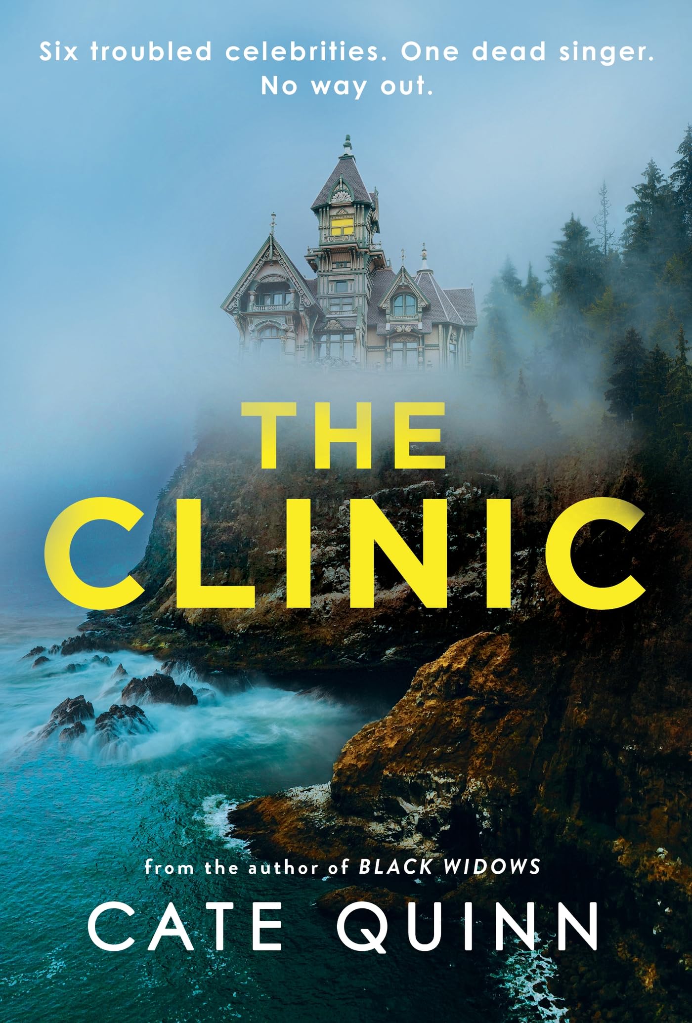 The Clinic: The compulsive new thriller from the critically acclaimed author of Black Widows