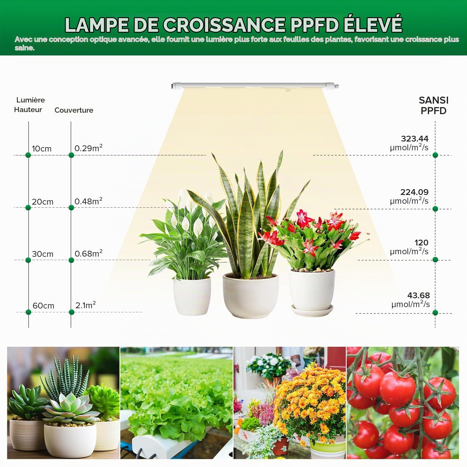 SANSI Lampe Horticole à Spectre Complet T8 25W, Tube 60cm, IP54 Etanche | Pour plantes d'intérieur, idéale pour les semis, la croissance des plantes, les serres et les étagères à plantes, 4000K