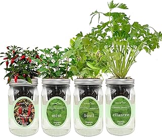 Hydroponic Mason Jar Indoor Garden Organic Seed Starter Kits - Taste of ...