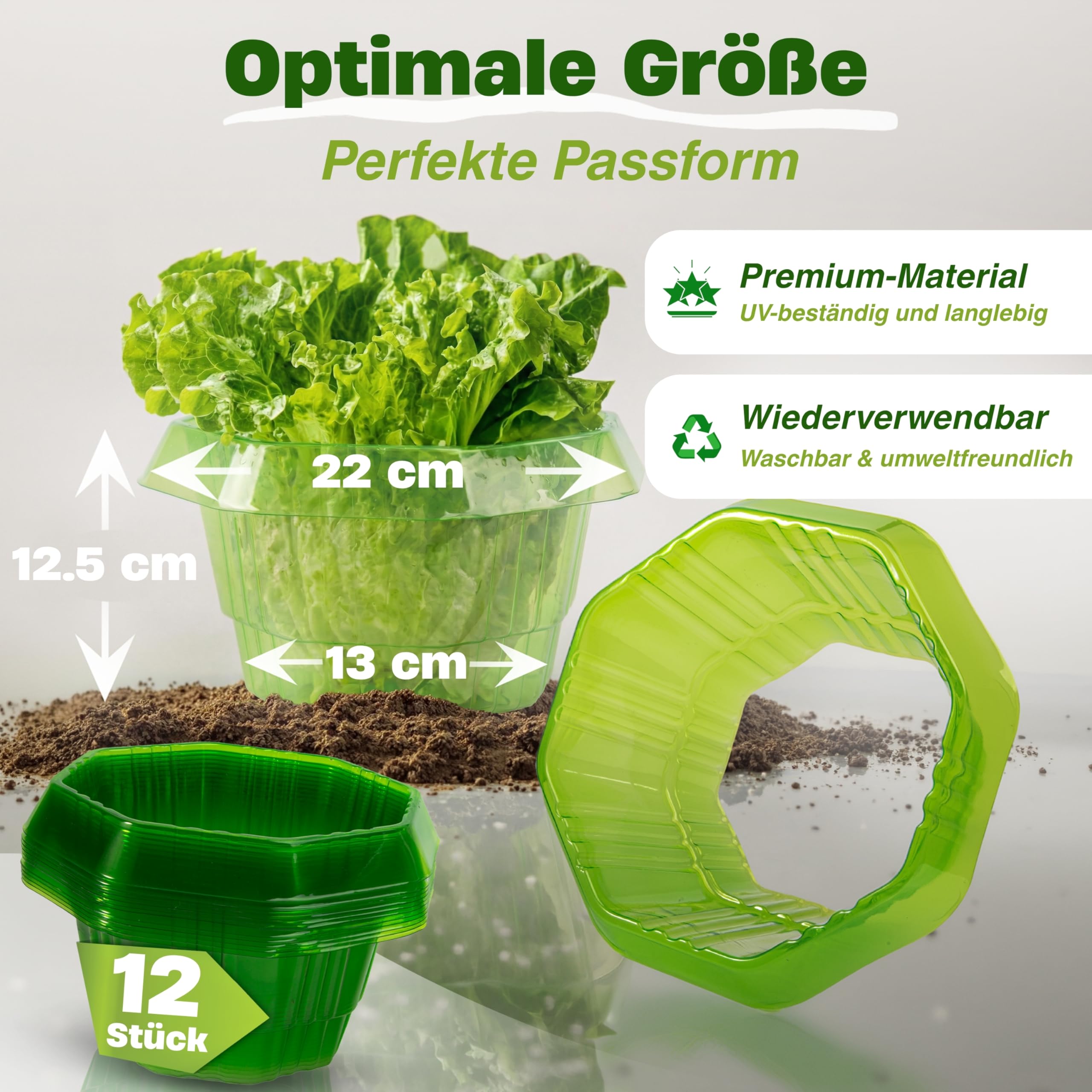 insi Schneckenkragen 12er Set – Stabiler Schneckenkorn für Salat & Kohl – Wiederverwendbarer Schneckenschutz ohne Chemie – Effektive Schneckenabwehr für Pflanzen