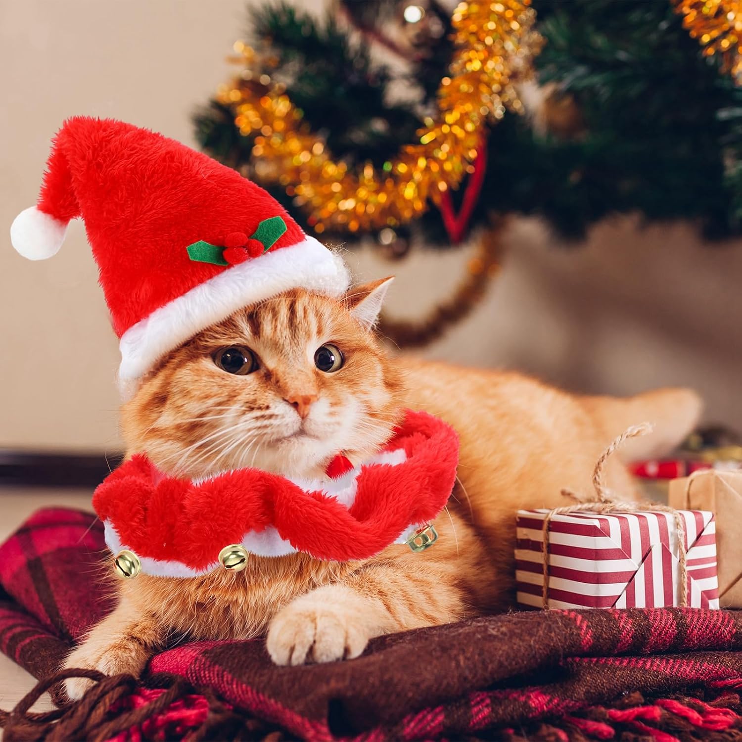 16 Pcs Cat Christmas Costume Suit Santa Hats and Tutu Collar Xmas Cat Outfit Green Shiny Hat Christmas Cat Collar with Bell Hat Kitten Outfit Clothing for Puppy Cat Pets Gift