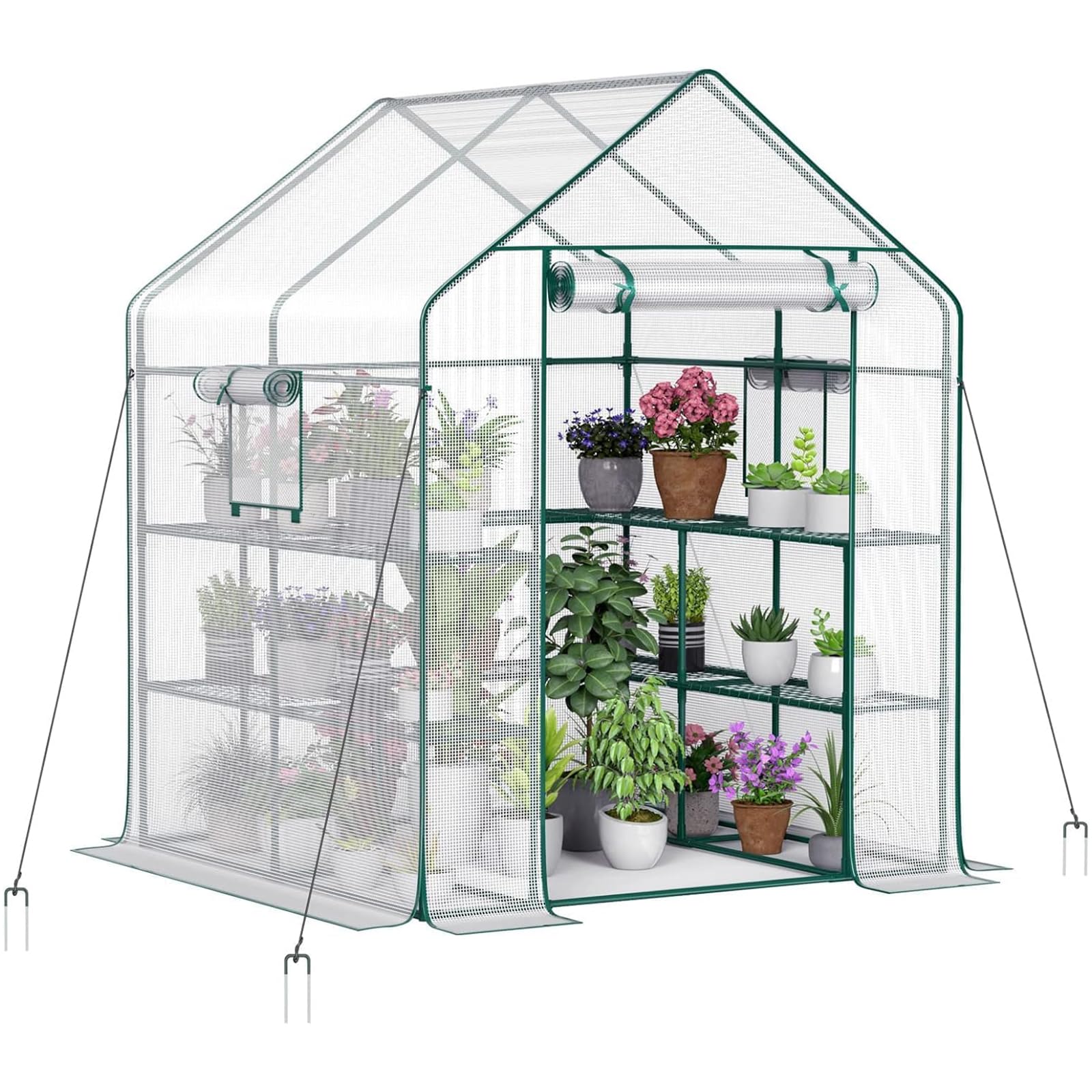 Hcosmy Walk-in Greenhouse, Portable Outdoor Greenhouse with Shelves, 57 x 29/57x 77 inch, High Strength PE Cover with Roll-up Zipper Door and Steel Frame, Set Up in Minutes, for Planting (White Large)
