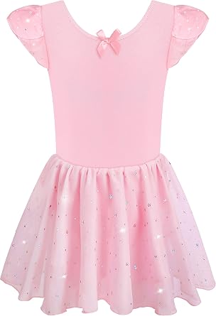 DANSHOW Girls Glitter Leotards for Ballet Dance Dress with Tutu Skirt Petal Sleeve