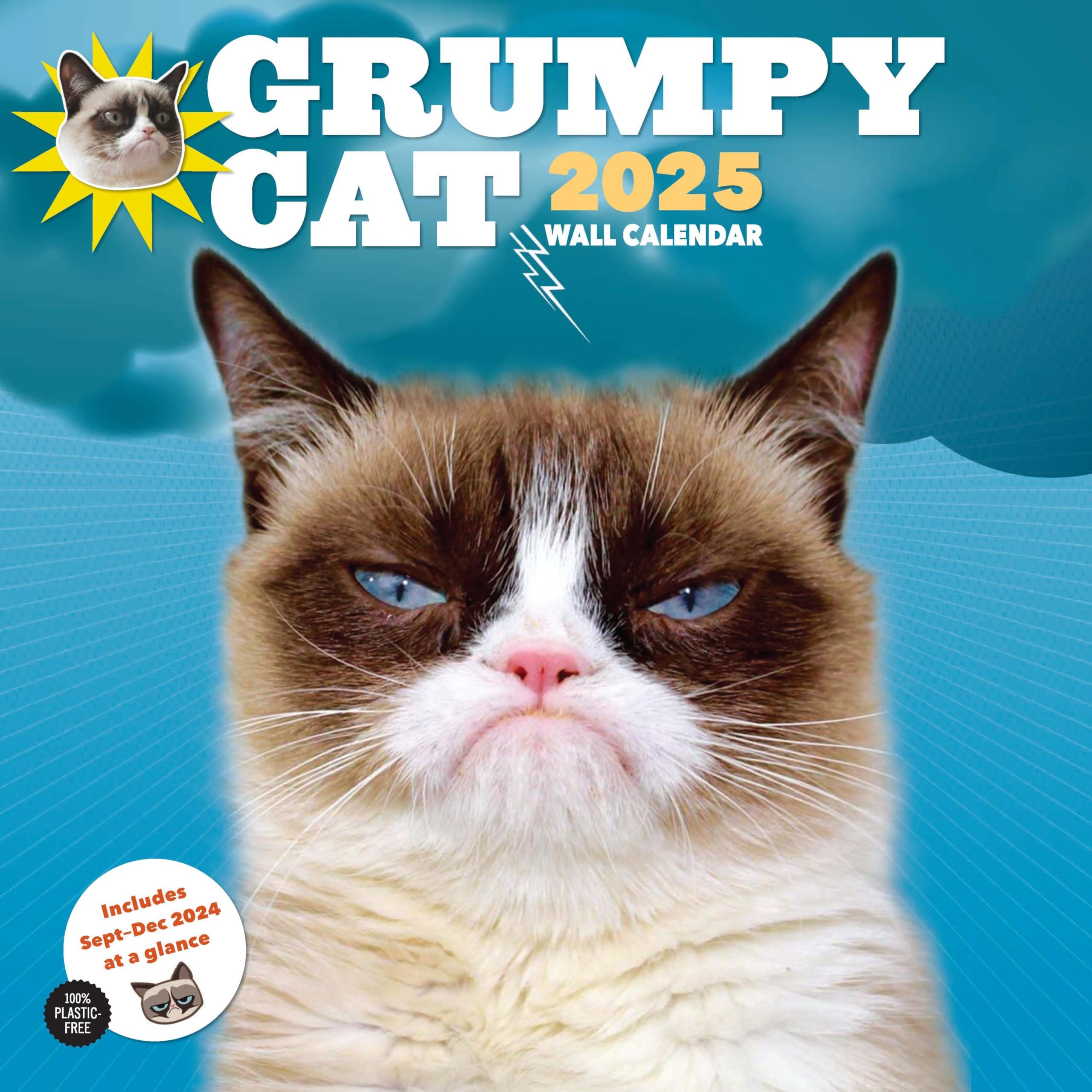 Chronicle Books Grumpy Cat 2025 Wall Calendar