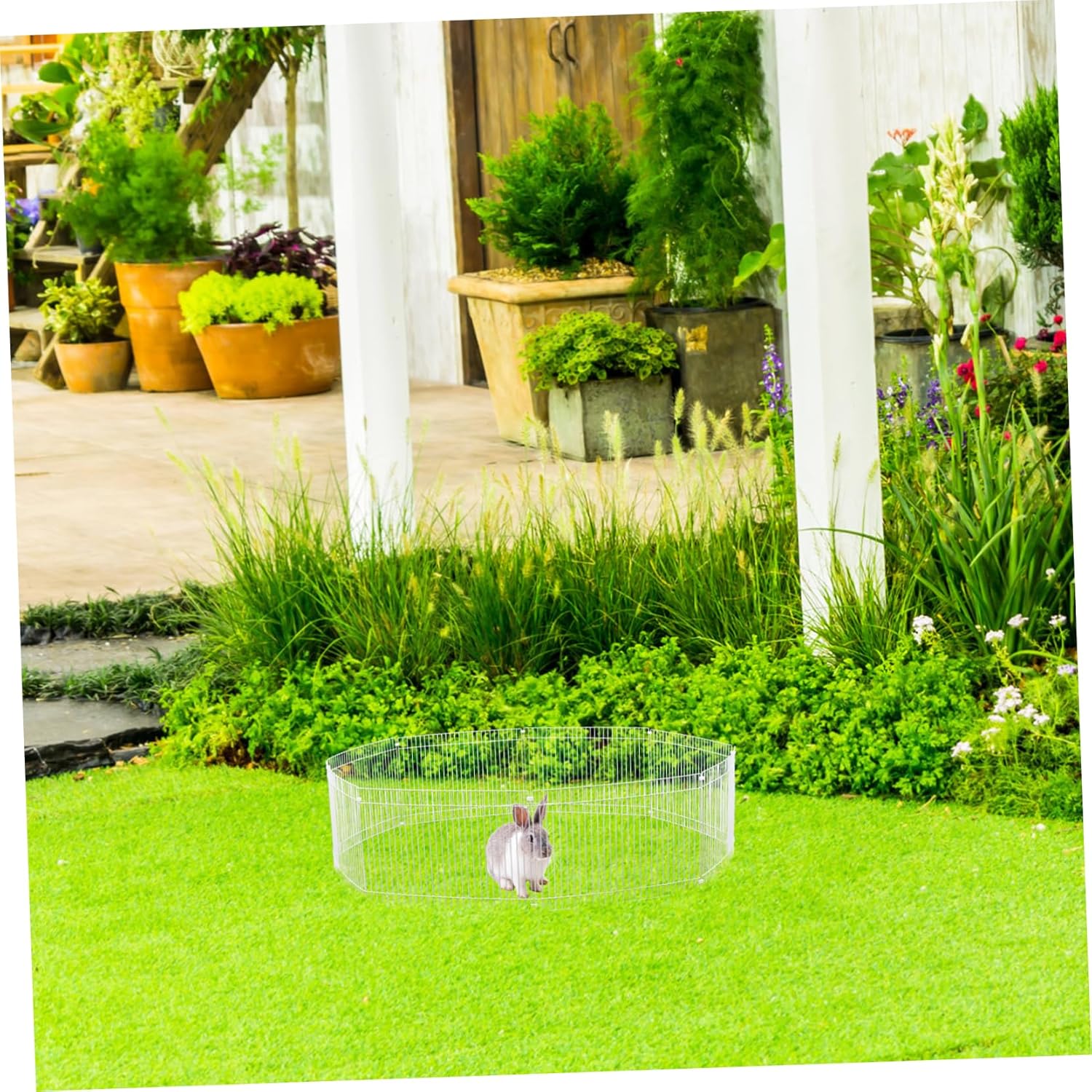 Kisangel Small Animal Playpen Detachable Metal Pet Fence for Hamsters Easy to Assemble Durable Enclosure for Indoor Outdoor Panels