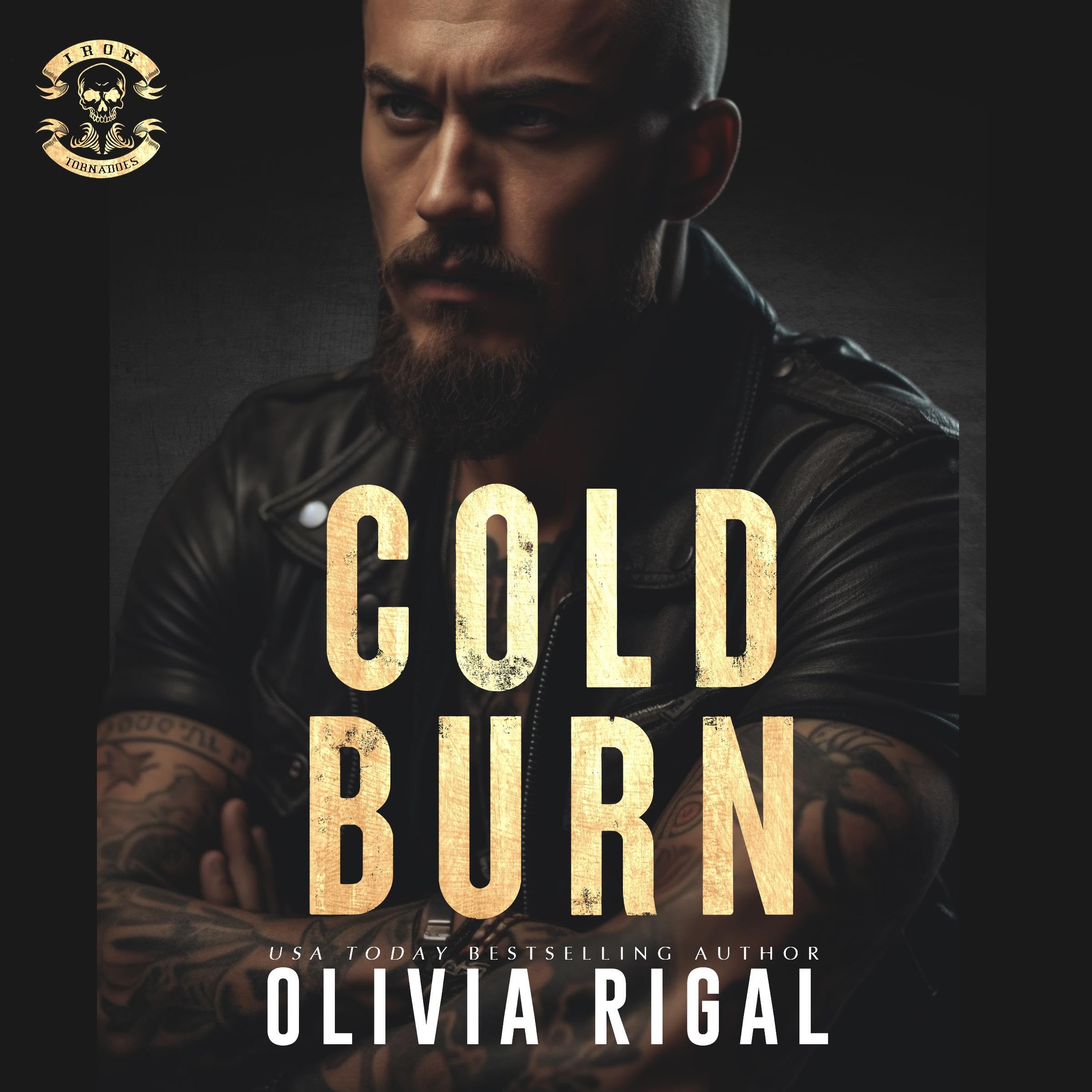 Cover art for Cold Burn