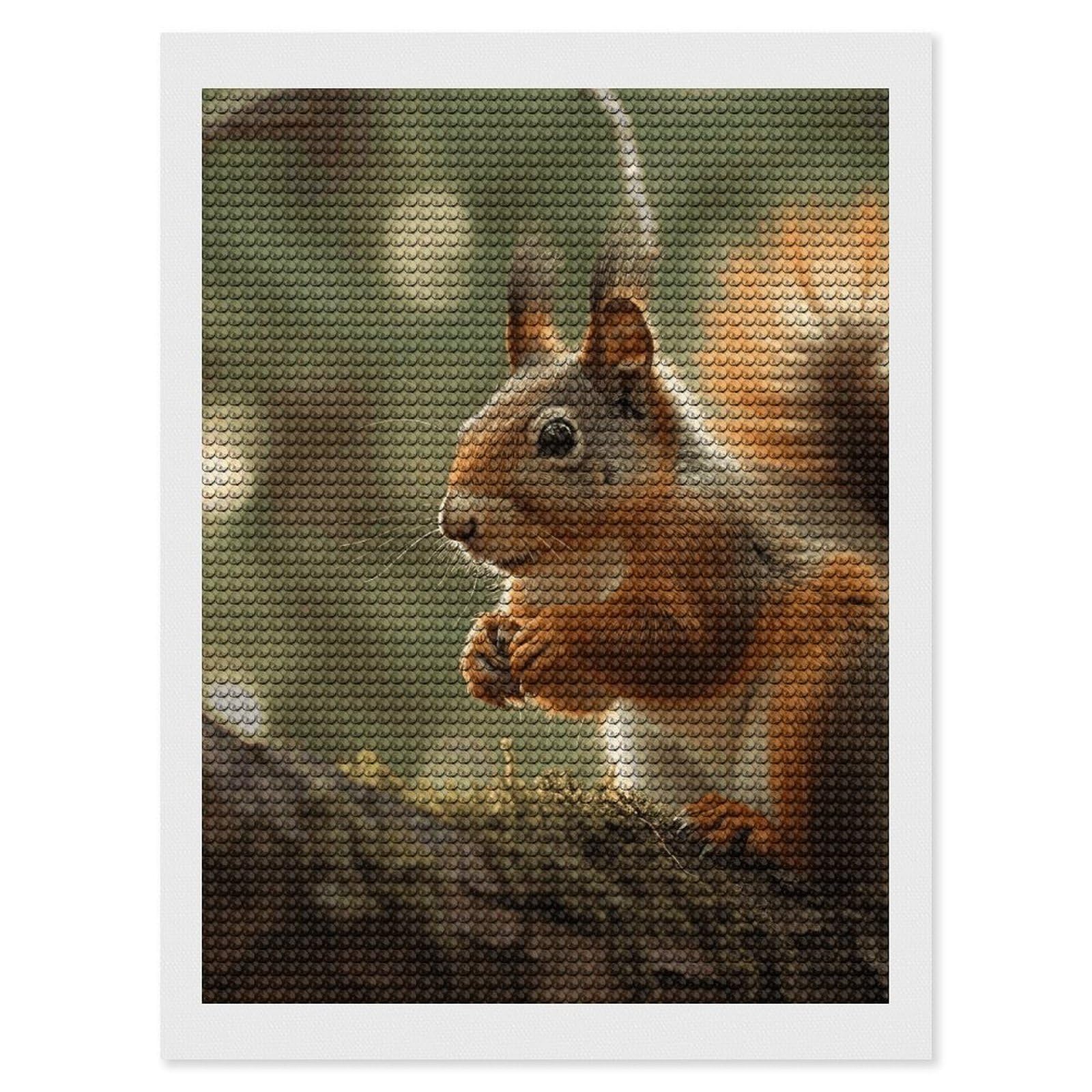 DWVTSLH Wildlife Forest Squirrel Diamond Painting Kits for Adults, Personalized Diamond Photo Art Full Drill, DIY 5D Diamond Art Painting Kits for Beginners, Home Wall Decor 12"x16"