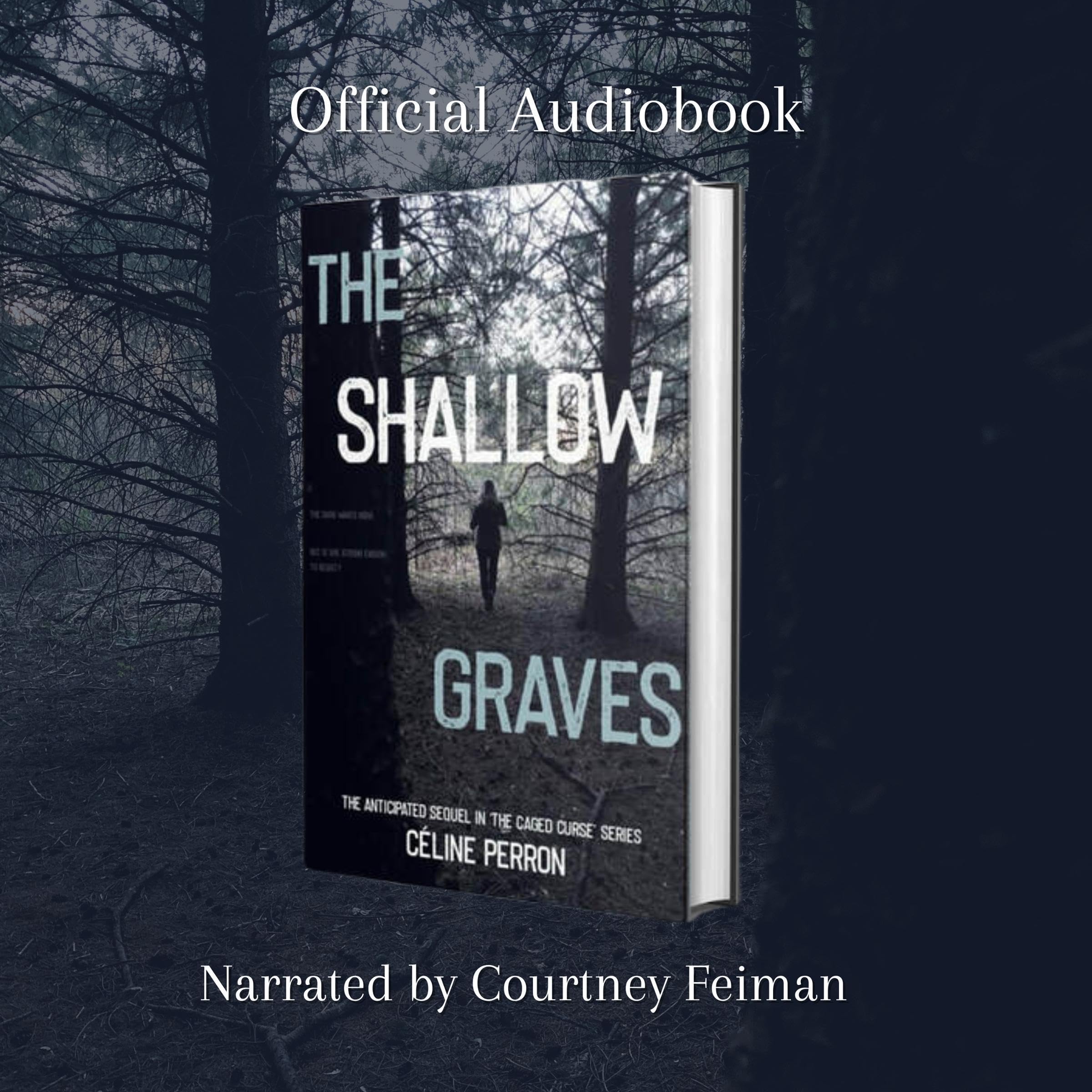 Cover art for The Shallow Graves