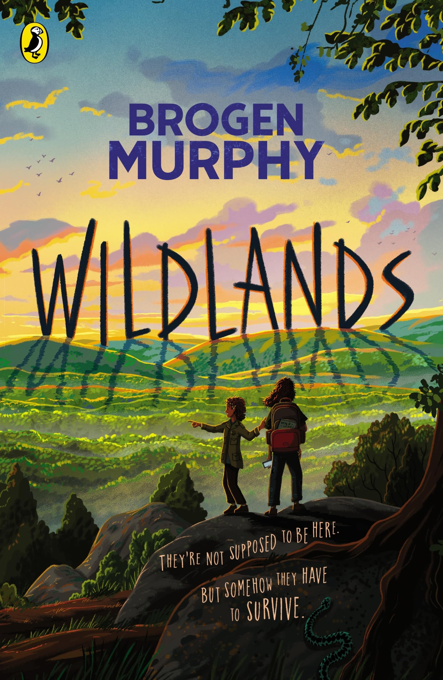 Brogen Murphy Wildlands Paperback Book