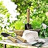 Product Photo 6