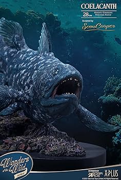 Amazon | スターエーストイズ ワンダーズ オブ ザ ワイルド