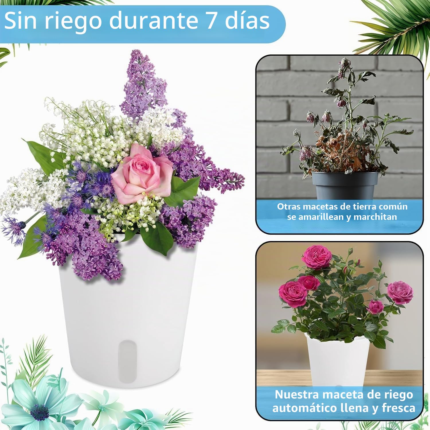 Maceta Plástico Autorriego, 10 Piezas Ronda Macetas con Ventana Nivel Agua, 9.5cm Maceteros Hierbas, Jardineras Decorativos para Interiores Exteriores