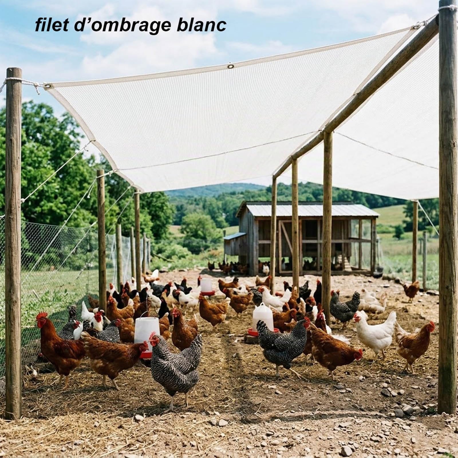Filet D'ombrage 50% Blanc avec Œillets, Toile Ombrage Respirant Anti-UV