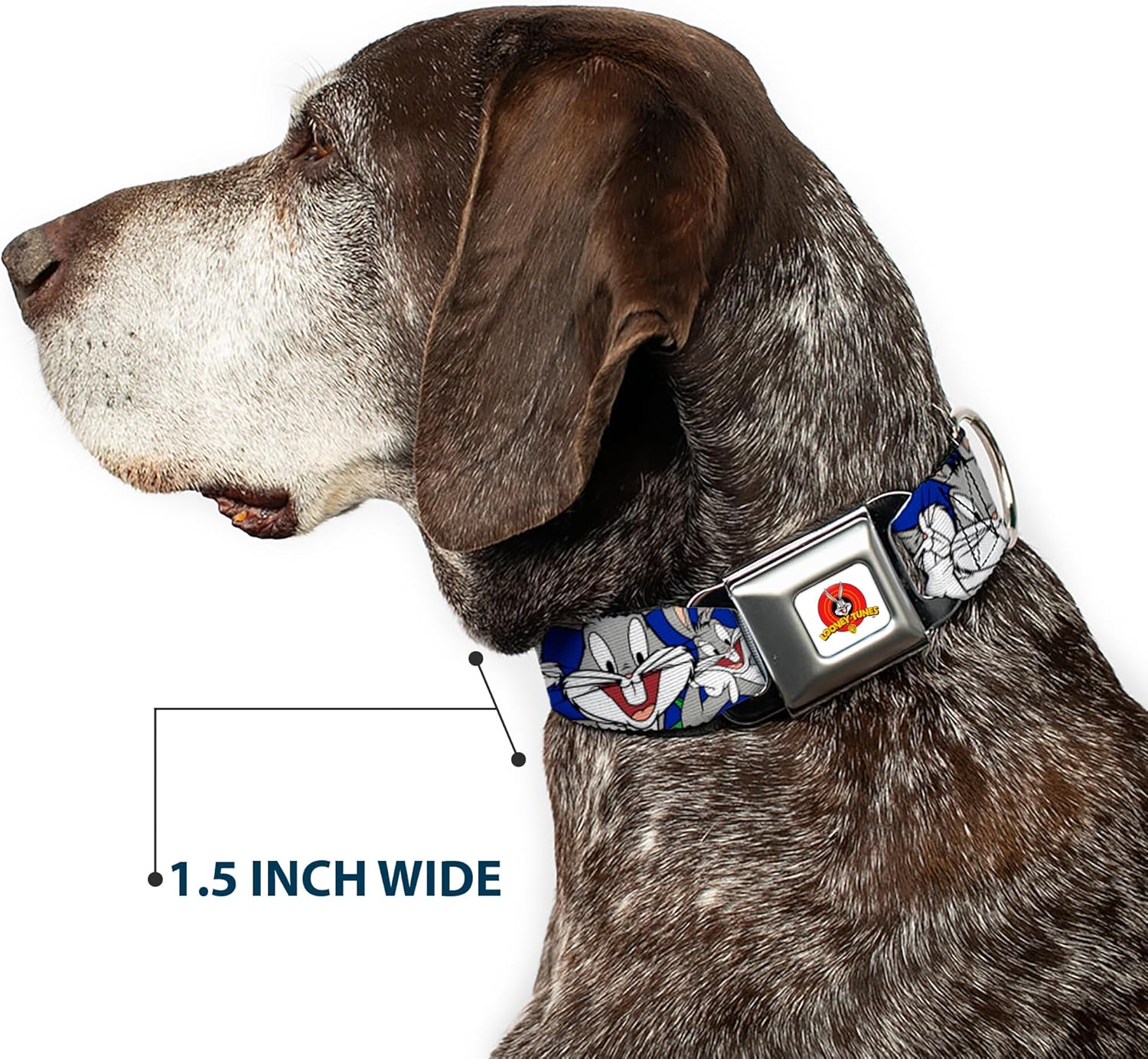 Buckle-Down Seatbelt Buckle Dog Collar - Bugs Bunny CLOSE-UP Poses Blue - 1" Wide - Fits 15-26" Neck - Large