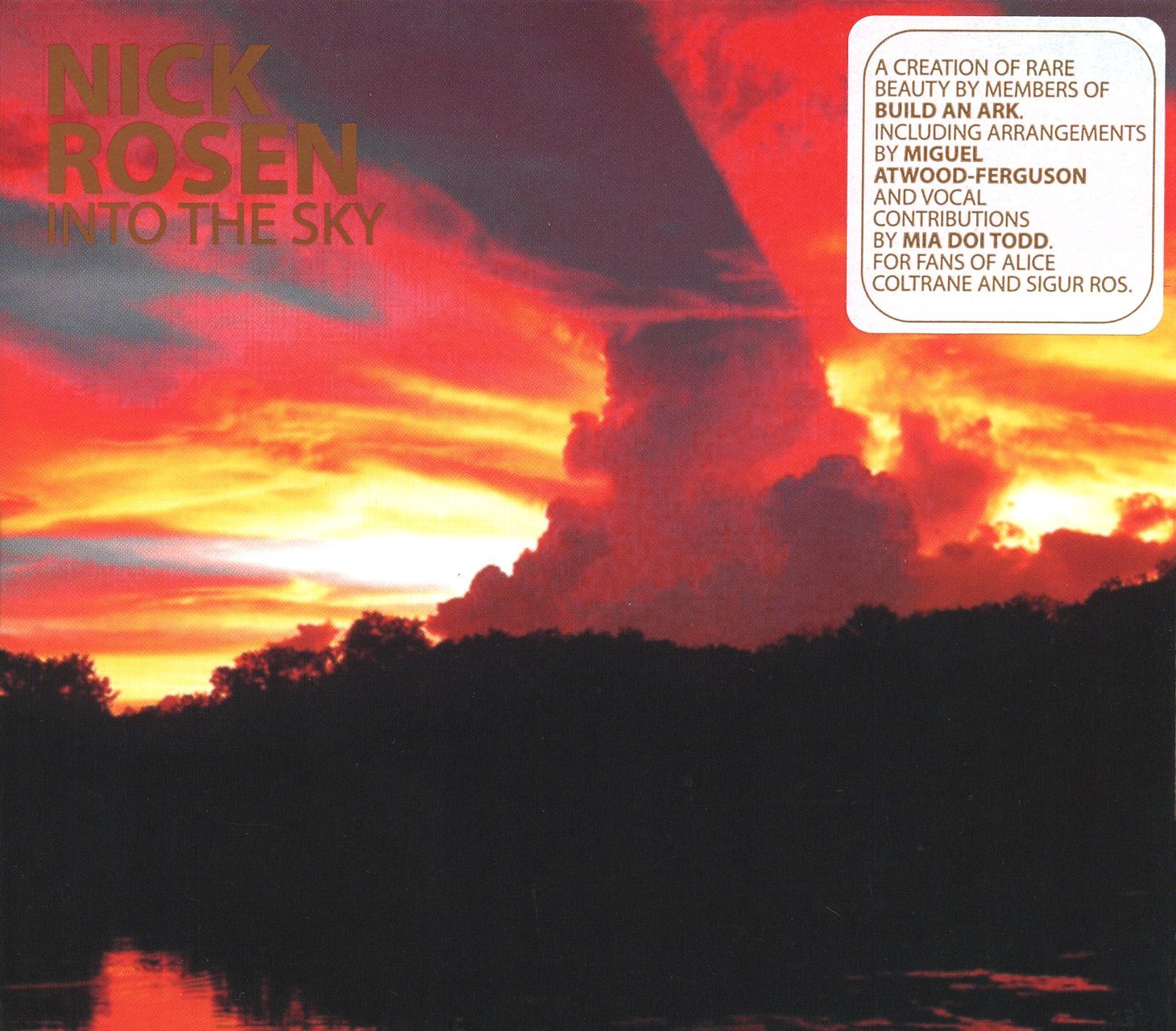 Into The Sky [Audio CD] ROSEN,NICK