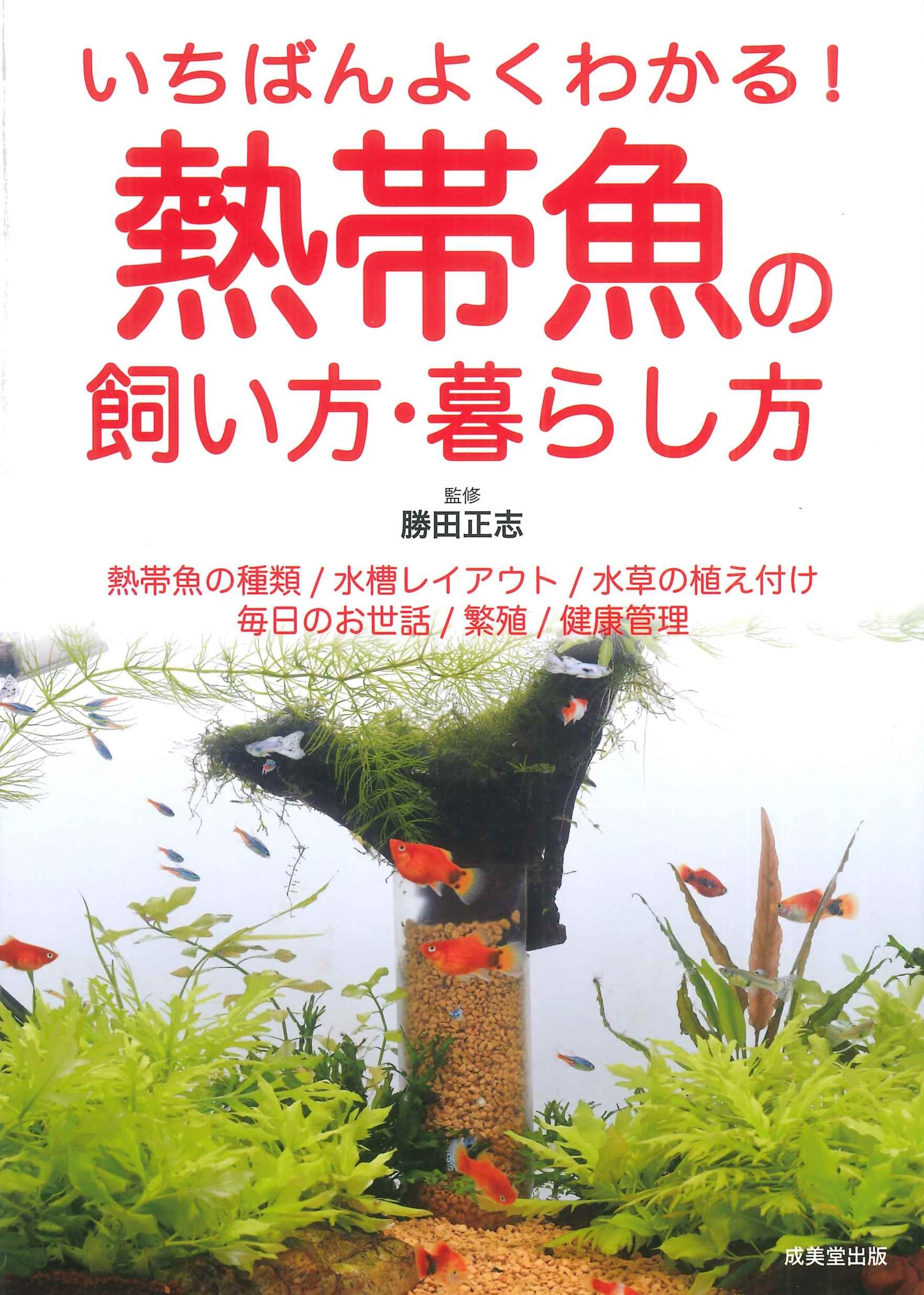 ADA商品です。熱帯魚はじめたい方 ADA商品です。熱帯魚はじめたい方 熱帯魚 水槽セット 初心者向け