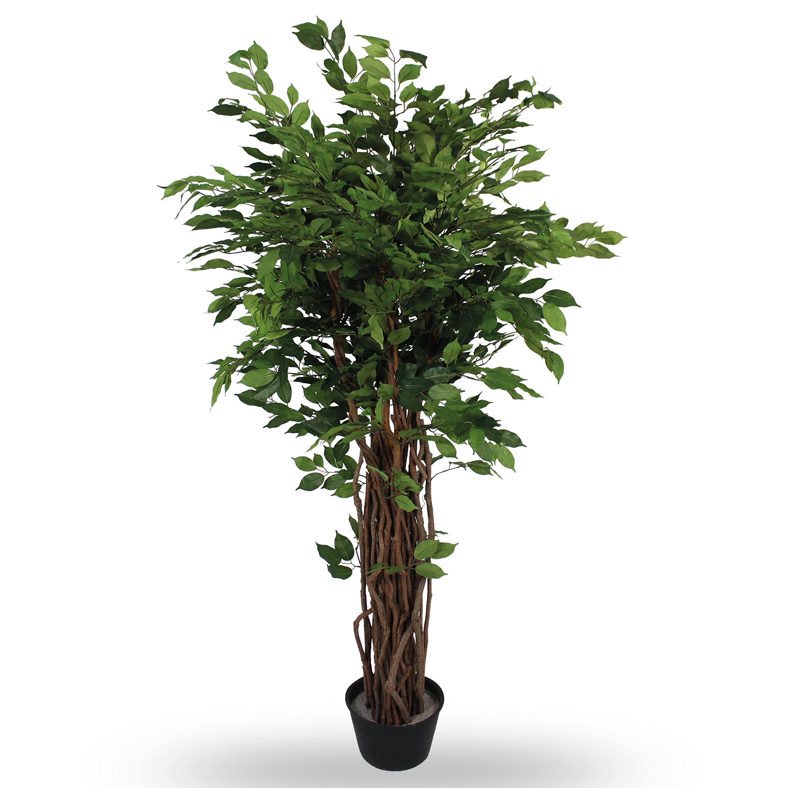 Blooming Artificial Green Plants Indoors In Pots, Faux Decorative Foliage, No Hassle, Easy Care, Perfect For Bringing Life To Indoor Spaces (Ficus Benjamina Liana) (Green) (210Cm)