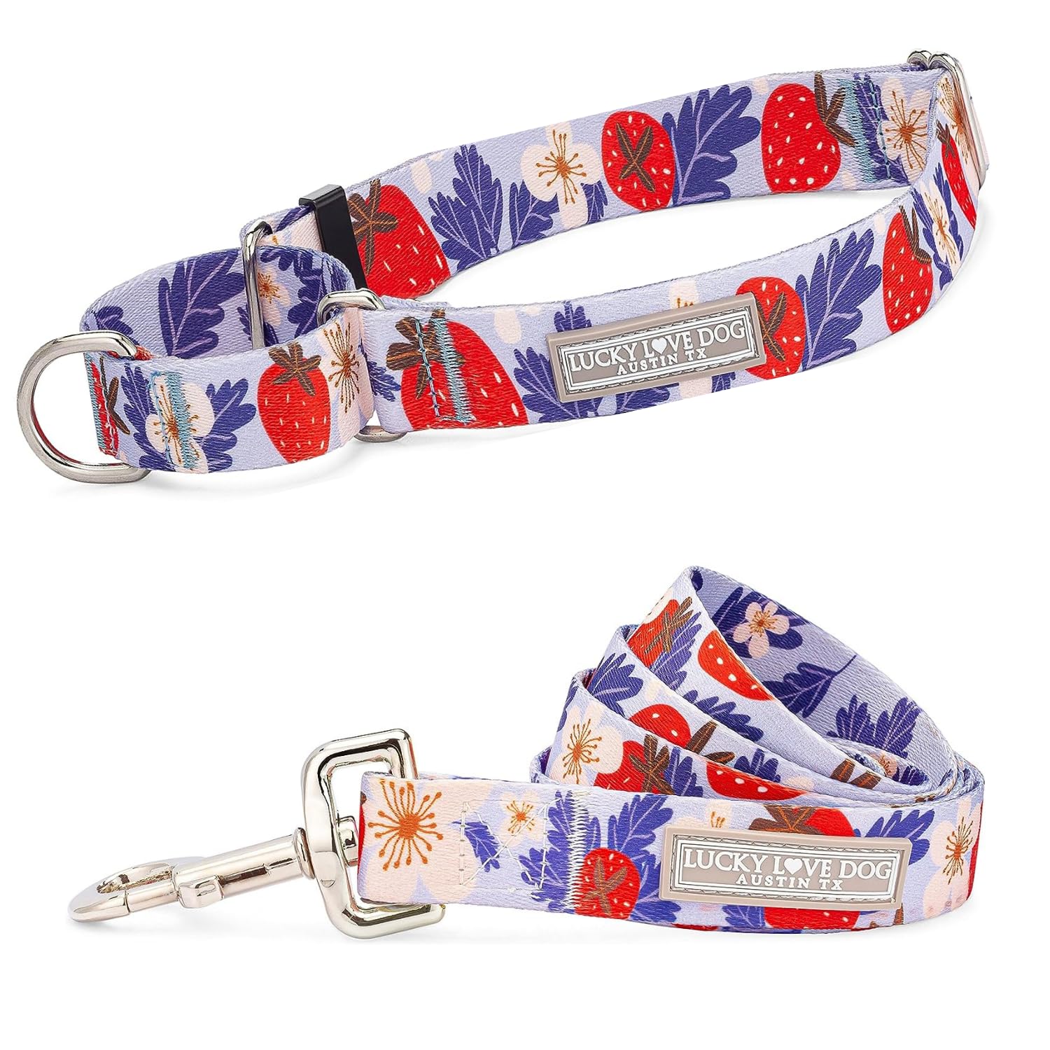 Lucky Love Dog Martingale Collar and Leash Set, Premium Fun Girl No Slip Collars, Strawberry Martingale Dog Collar and Leash Set, Great for Whippets,
