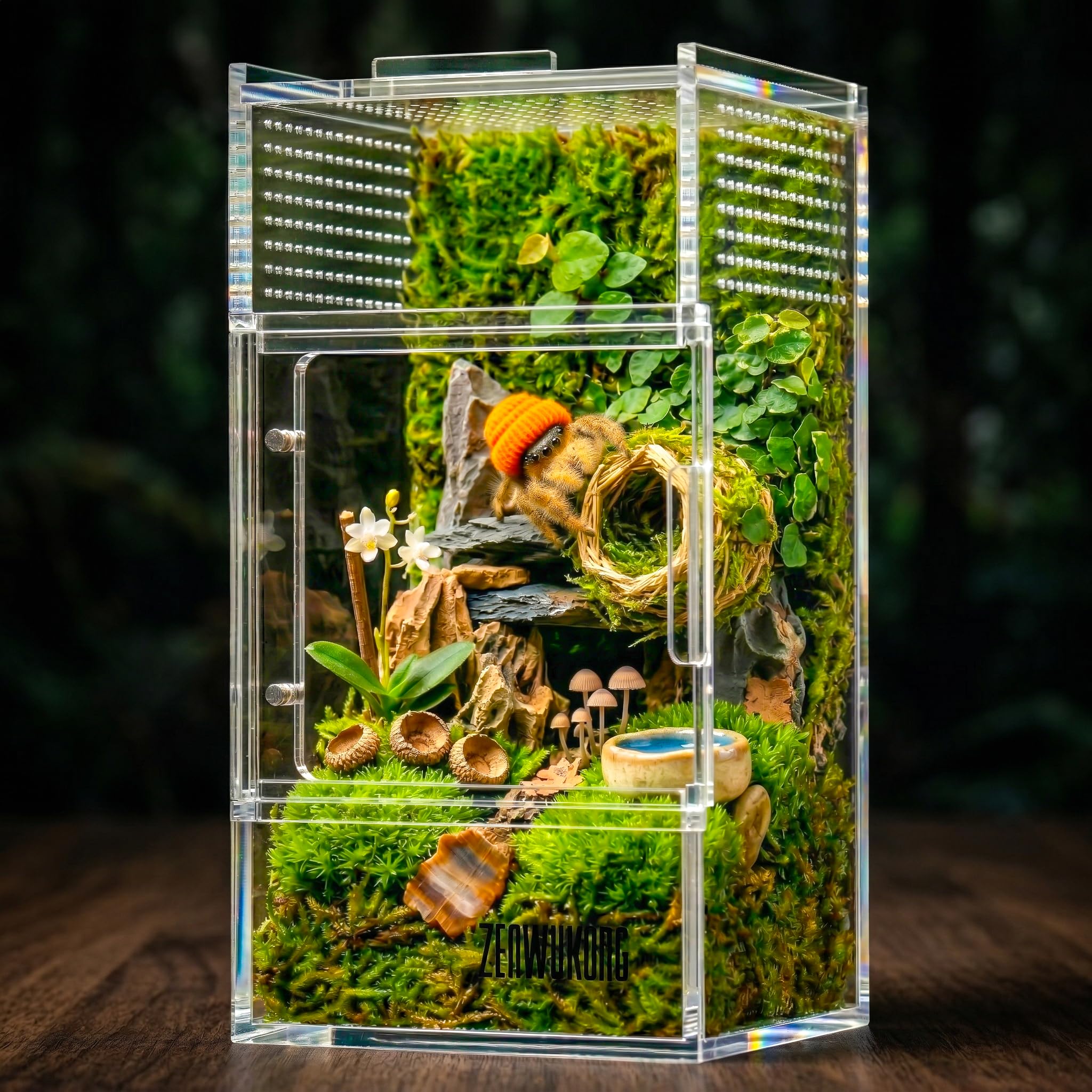 ZENWUKONG Jumping Spider Enclosure - Acrylic Terrarium Habitat for Spiders, Tarantulas, Snail, Mantis, Lizard, and Small Reptiles, Magnetic Doors (