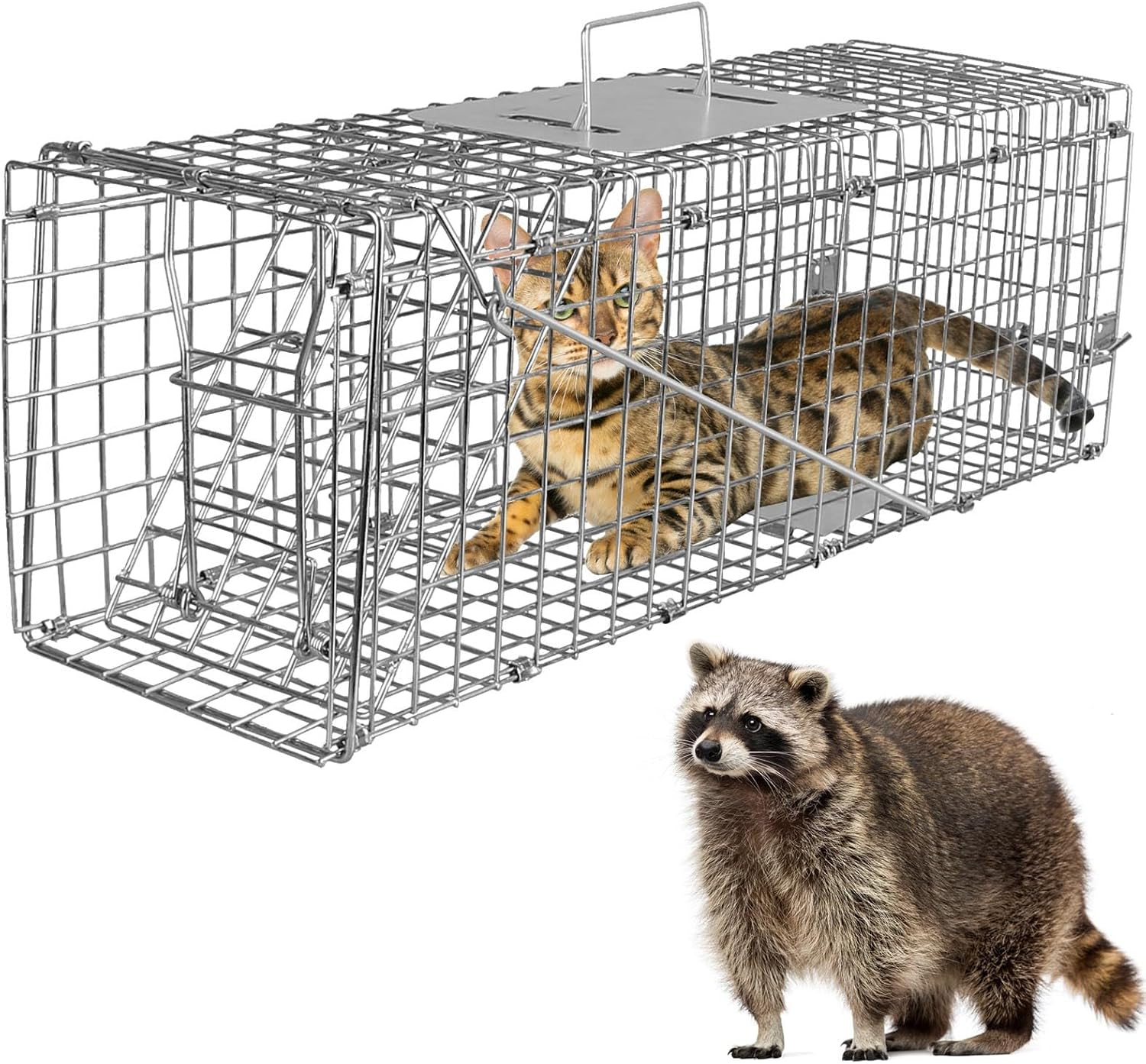 https://m.media-amazon.com/images/I/81BPyhnseTL._AC_SL1500_.jpg