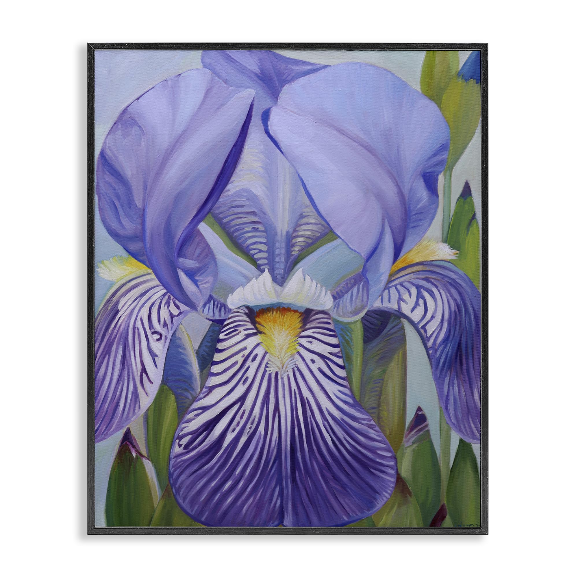 Stupell Industries Midnight Black (Textured) 'Blooming Purple Iris Petals', Framed Giclee Art, Black, 16 X 20 Inches, Easy To Hang And Sturdy, Made In Usa, By Violeta Vollmer