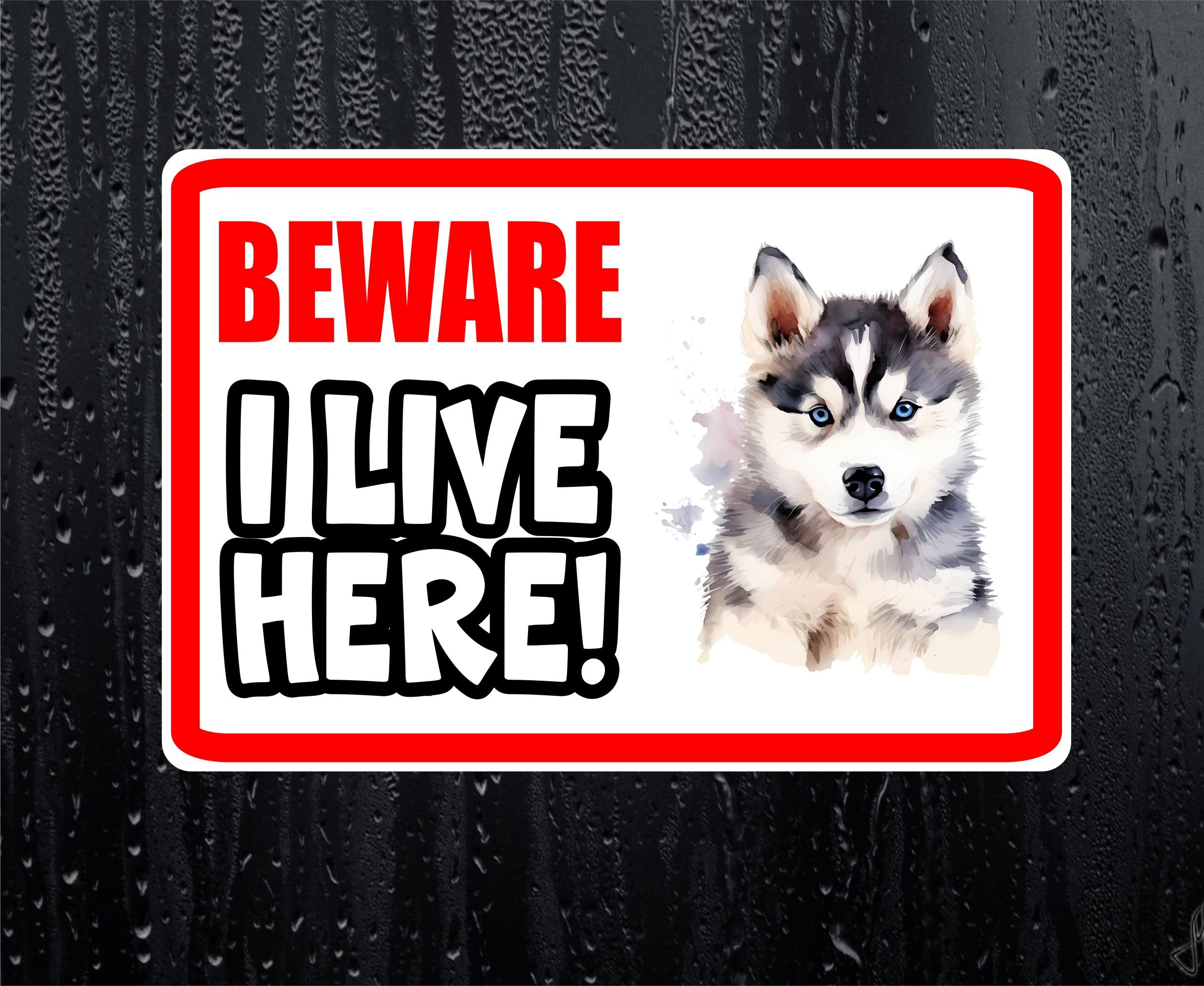 Decalarama White Husky Sticker Beware I Live Here House Home Window Door Porch Printed Decal
