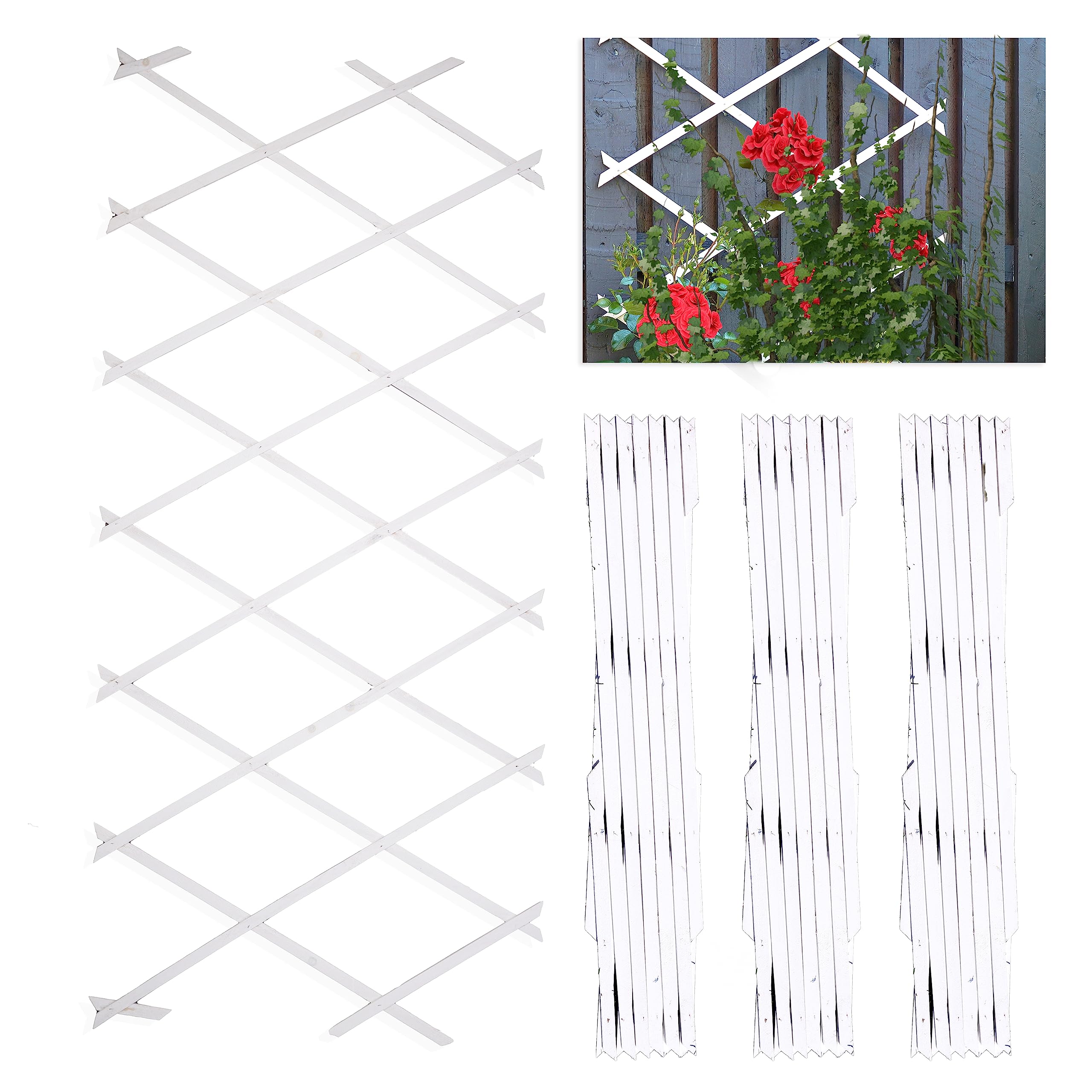 DIVCHI Wooden Trellis Expandable Garden Wall Trellis For Climbing Plants Decoration & Plants Partitioning (Pack Of 3) (180cm x 60cm) (White)