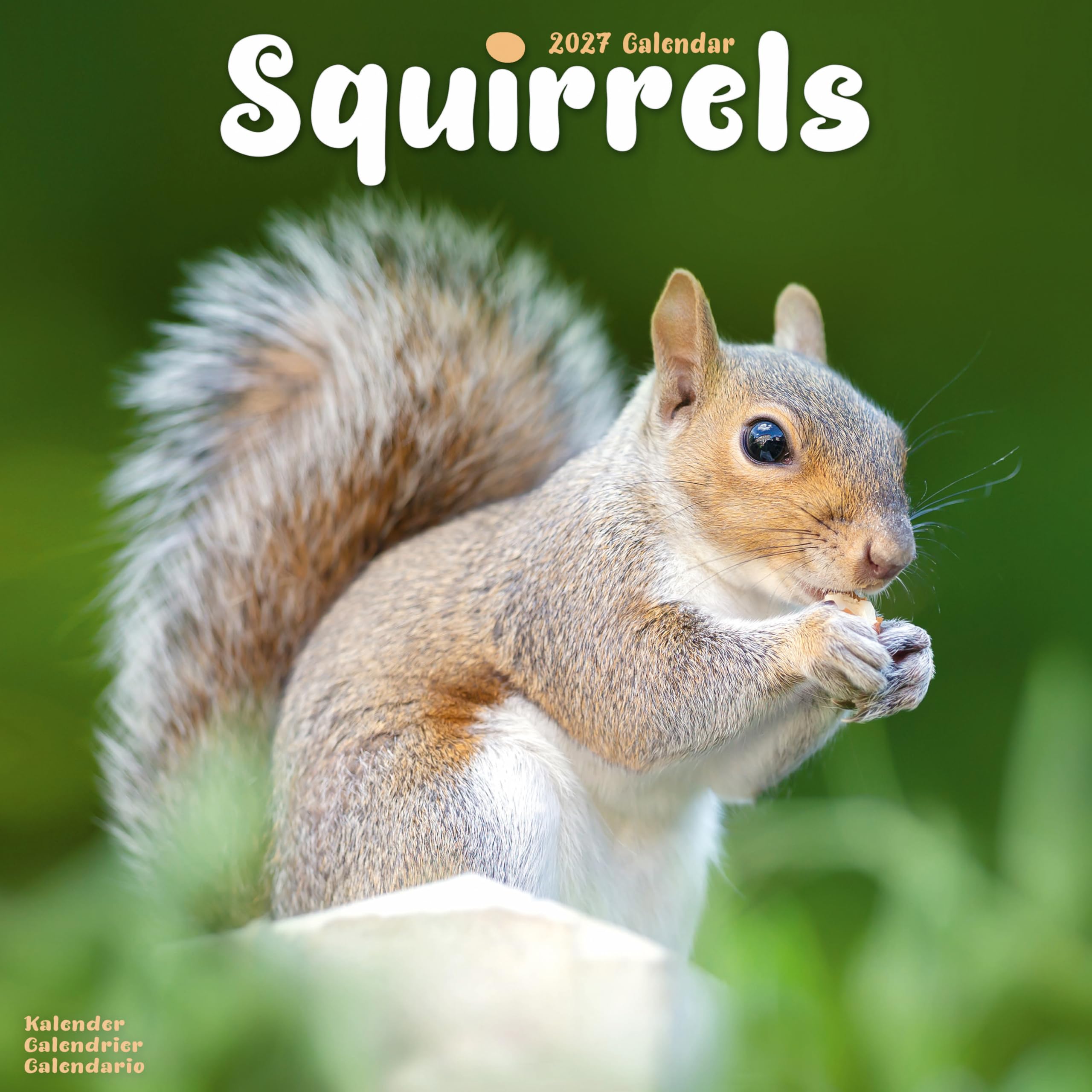 Squirrels Calendar 2027, Wall Calendars, Month To View, Animals, Gift