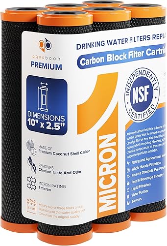 Aquaboon Filtro de agua de bloque de carbono prémium de 1 micrón, 10 x 2.5 pulgadas, paquete de 6 filtros CTO para toda la casa para sistemas de