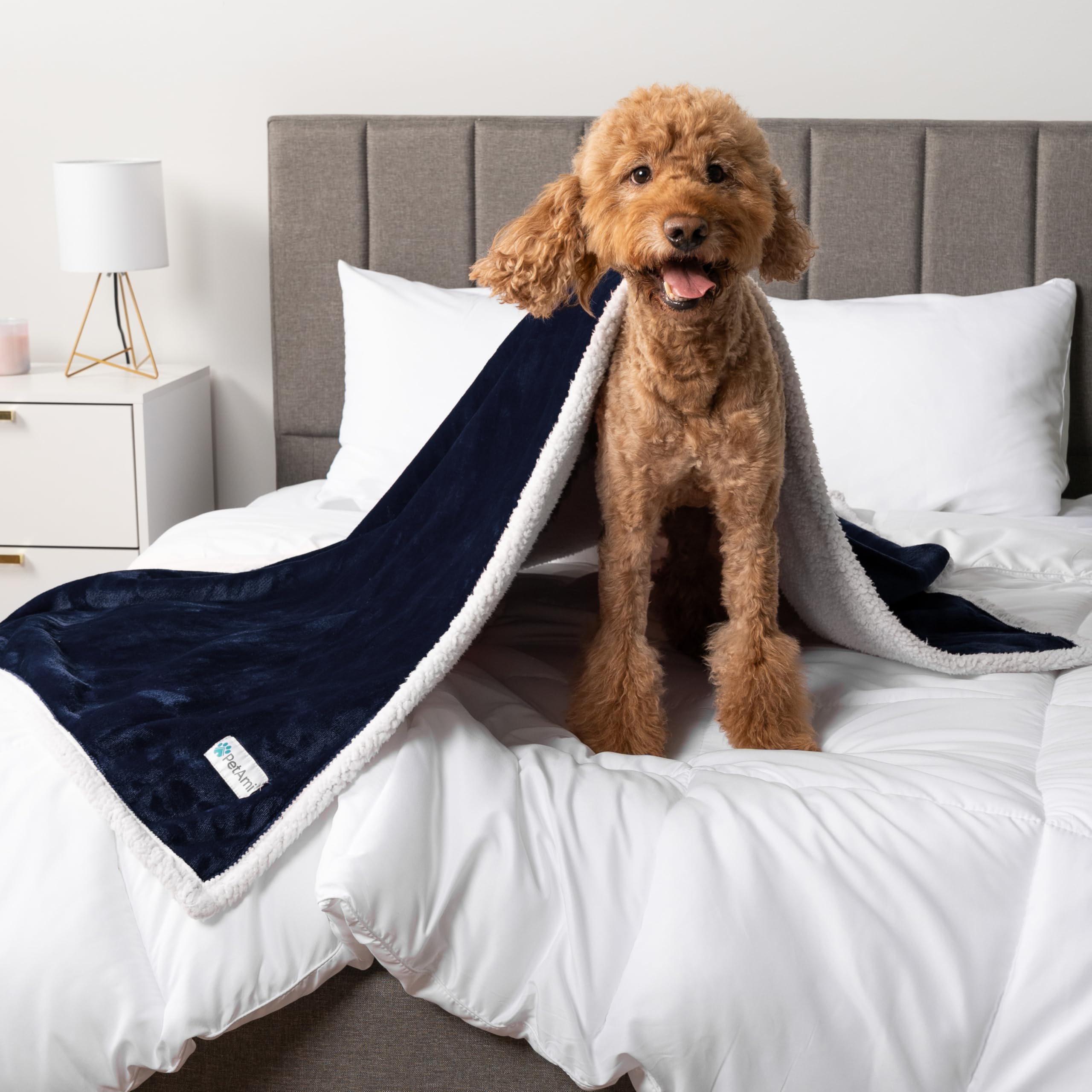 PetAmi Wasserdichte Hundedecke – Fleece-Decke Für Sofa, Auto & Bett