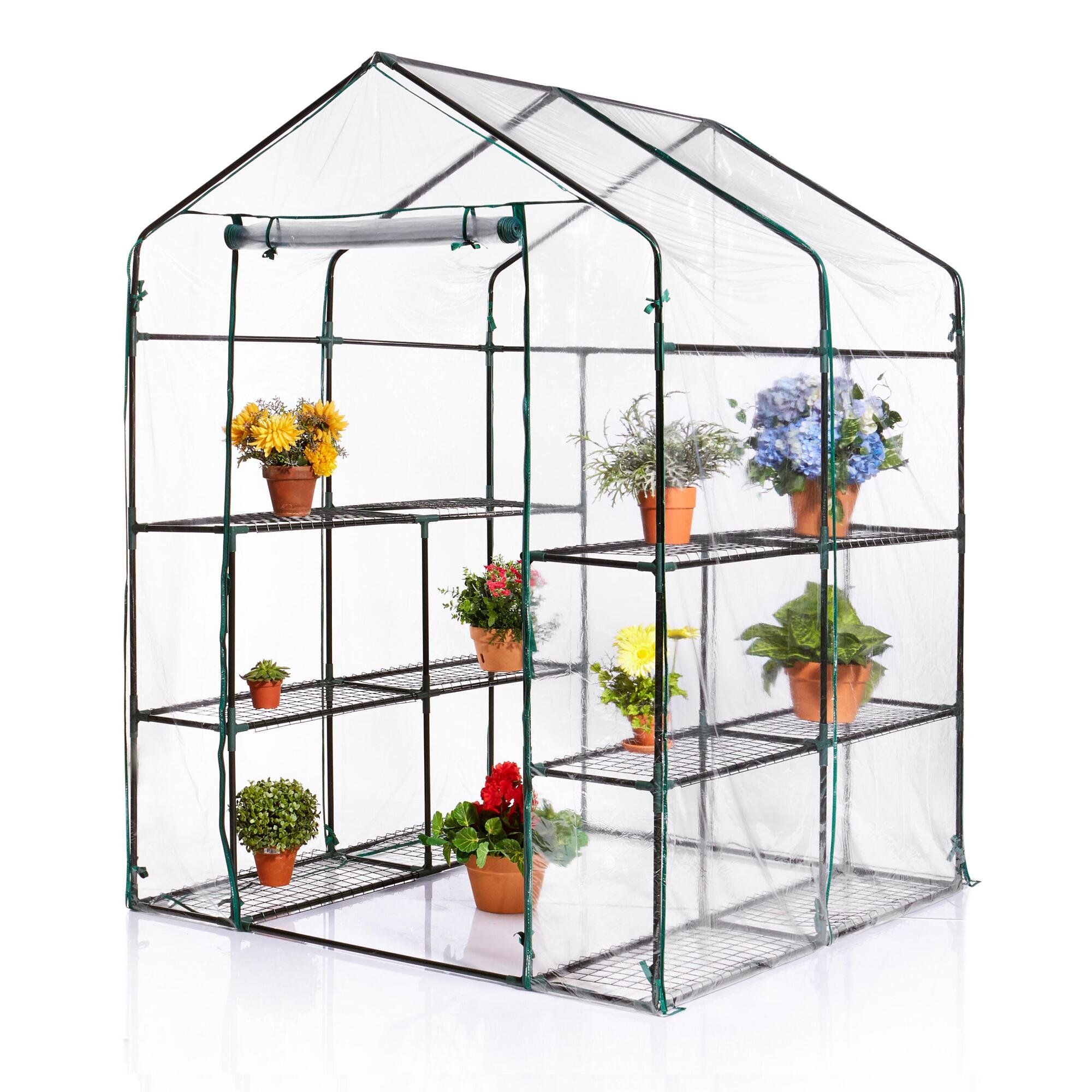 Amazon.com : Walk-In Greenhouse (56.25
