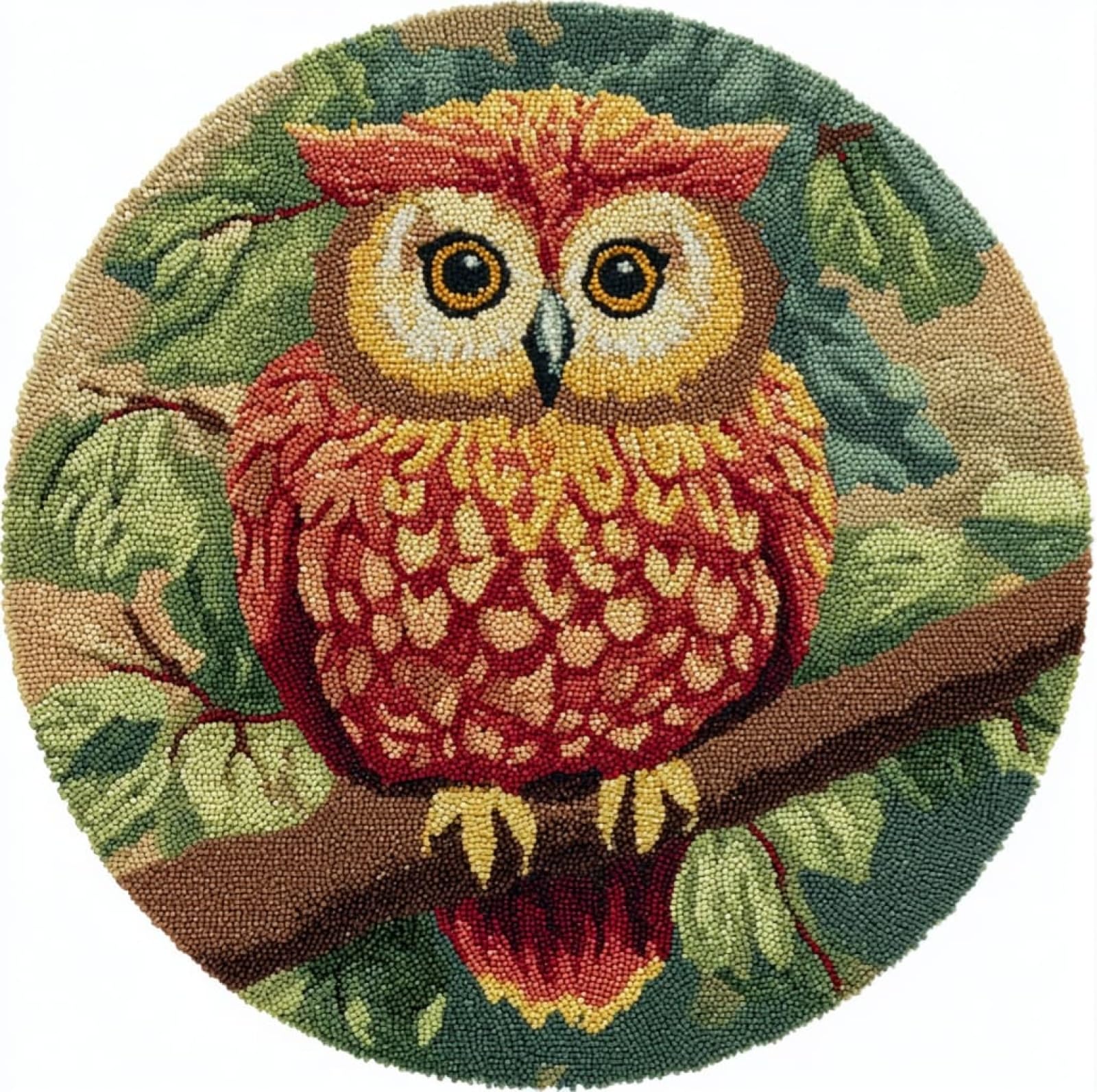 WallustrioaW DIY Latch Hook Rug Kits for Kids,Owl on a Branch,DIY Crochet Carpet Making Beginner Set for Adults Present Decoration,50x50cm