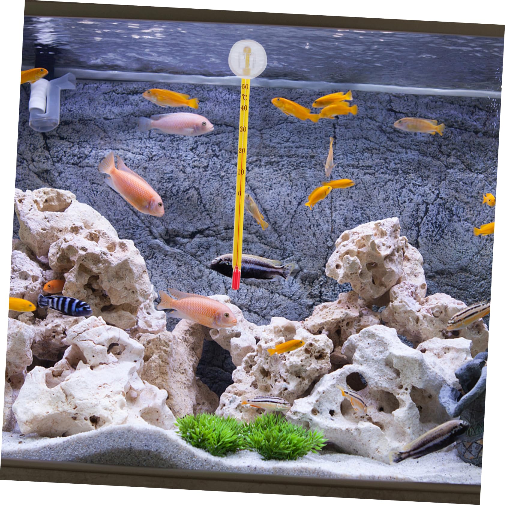 ibasenice 2 Set Termometro Per Acquari Galleggiante Acquario Profondo Accessori Per Acquari Termometro Per Pesci Temperatura Guidato Termometri Digitali Bicchiere 10 Pezzi*2