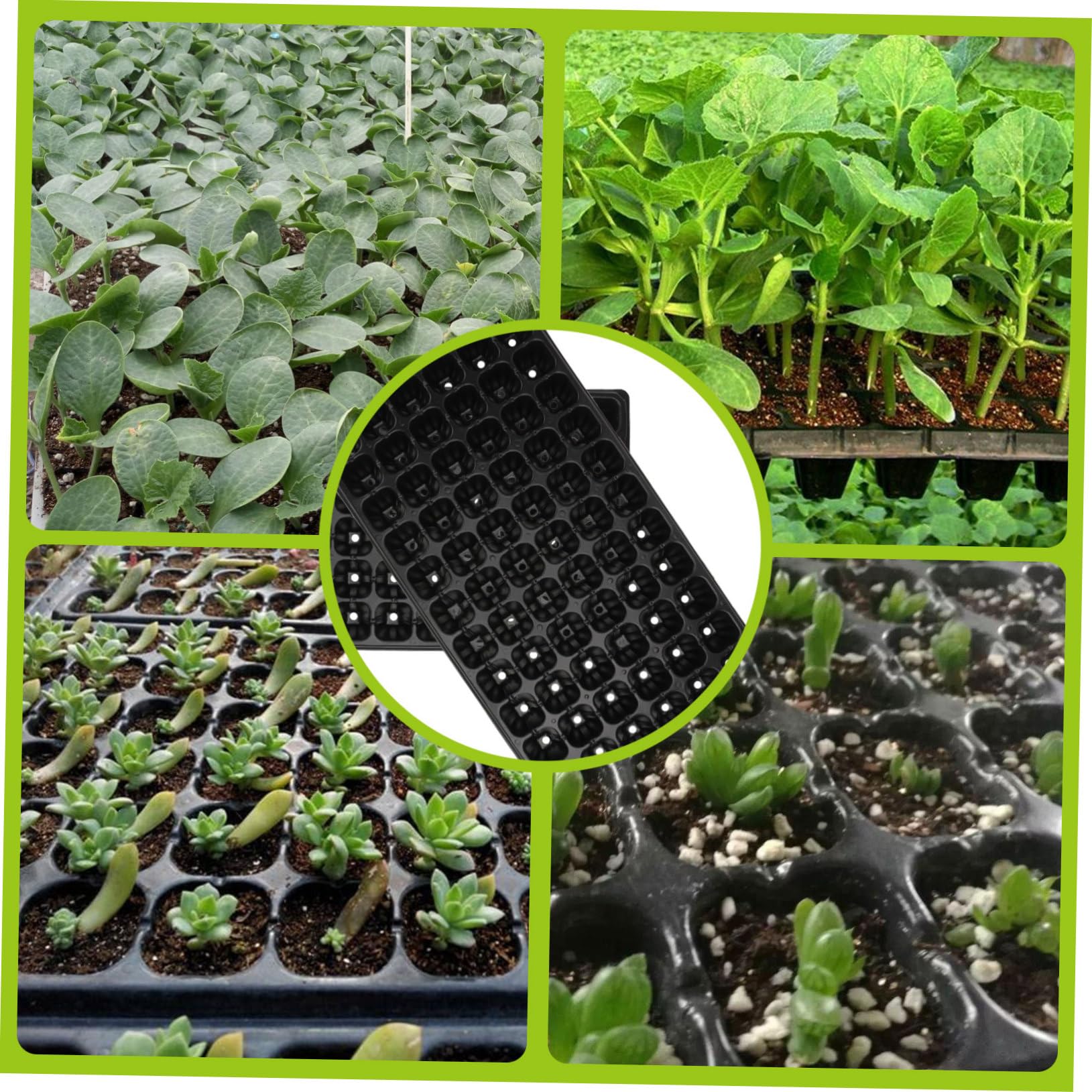 Bandeja De Germinación y Cultivo Agrícola Negra De PVC 72 Agujeros, 10 Unidades, Bandeja De Cultivo Ventilada y Resistente para Semillas y Jardinería