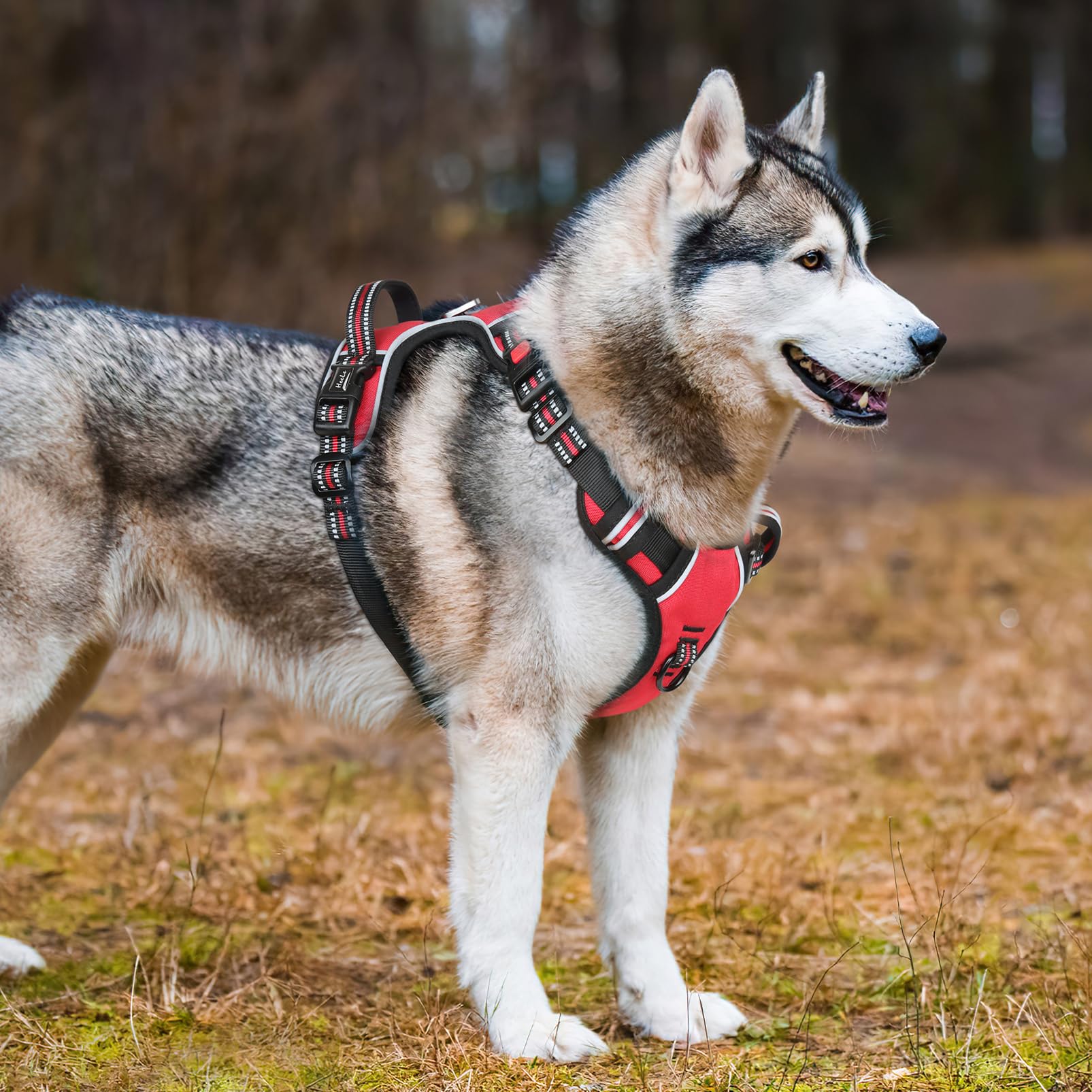 HEELE Pettorina per Cani da Corsa con Chiusura a Scatto, Regolabile, Riflettente, Aperta sul Collo, No-Pull, Solid-Rosso-Serratura, XL