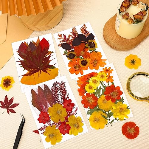 Vista 65 de Augshy 141 flores secas prensadas para resina, flores secas naturales reales prensadas para manualidades, moldes de resina, álbumes de recortes, 5