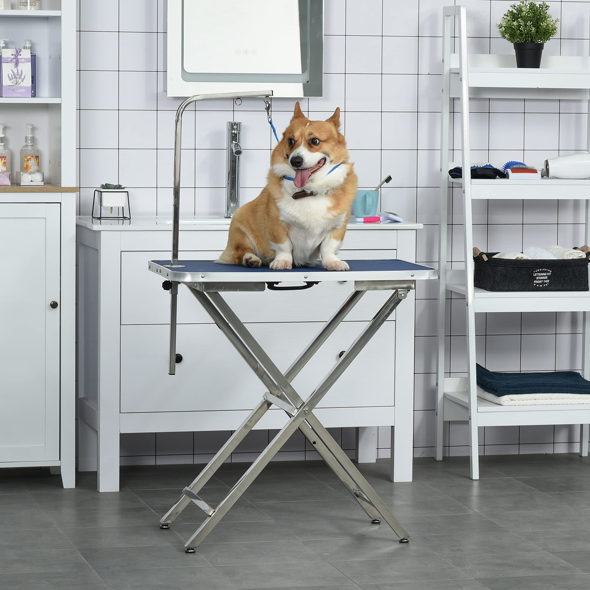 PawHut Table de toilettage Hauteur réglable, plateau antidérapant, pieds pliables en acier inoxydable, poignée et bras ajustables 72x45x74-81 cm Bleu