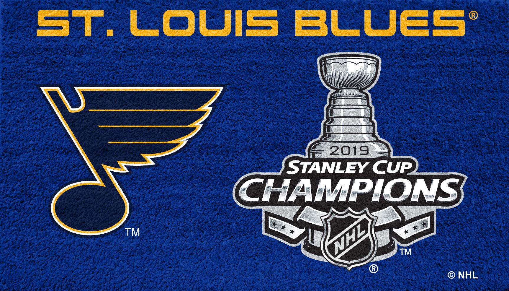 Team Sports America NHL St. Louis Blues 2019 Stanley Cup Champions Team Color Turf Mat 28 x 16 Inches