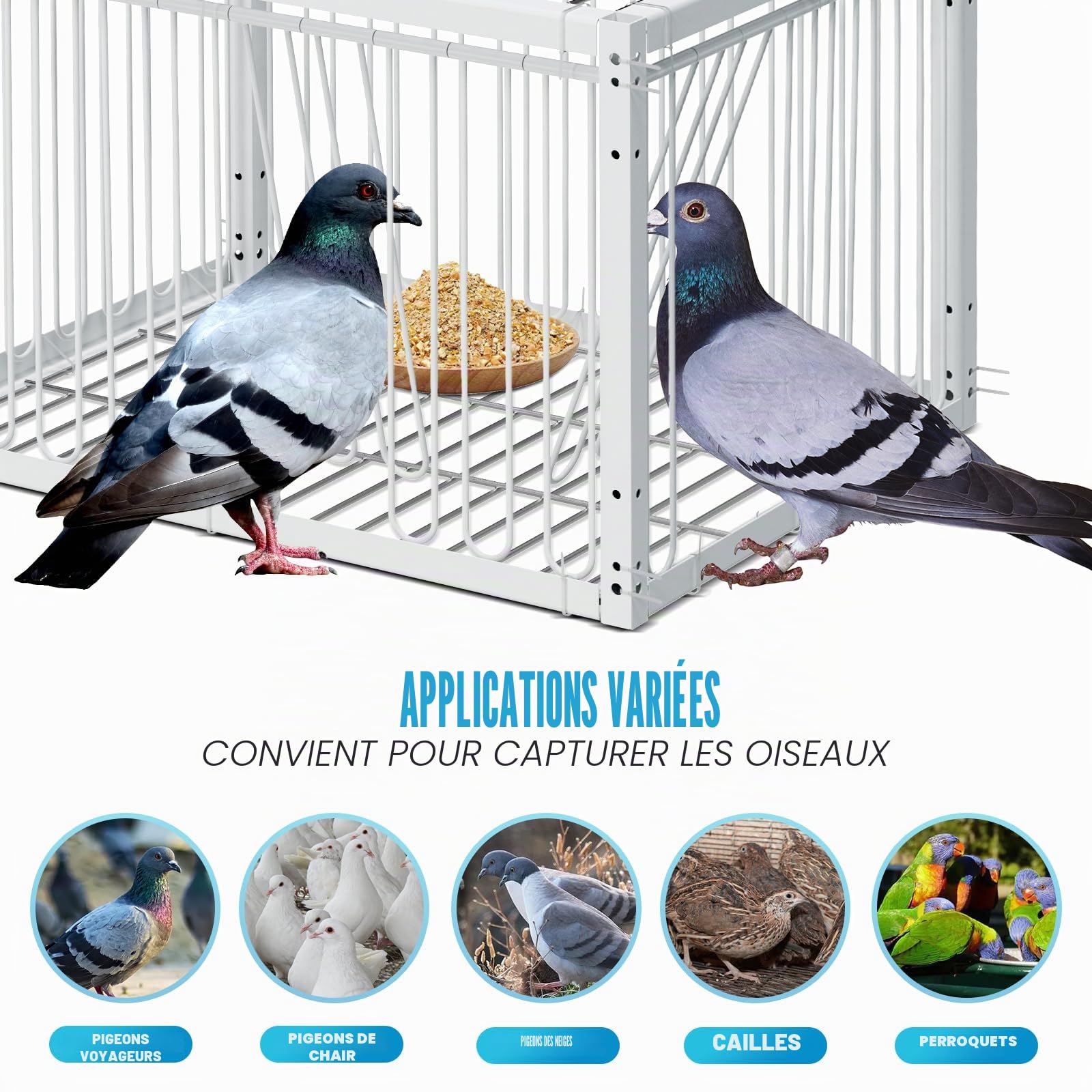 Cage à Oiseaux pour Pigeons, Faisans, Canards Sauvages avec Entrée Unidirectionnelle à 4 Côtés - Cage pour Pigeons de Course, Colombes, Perroquets 40cm