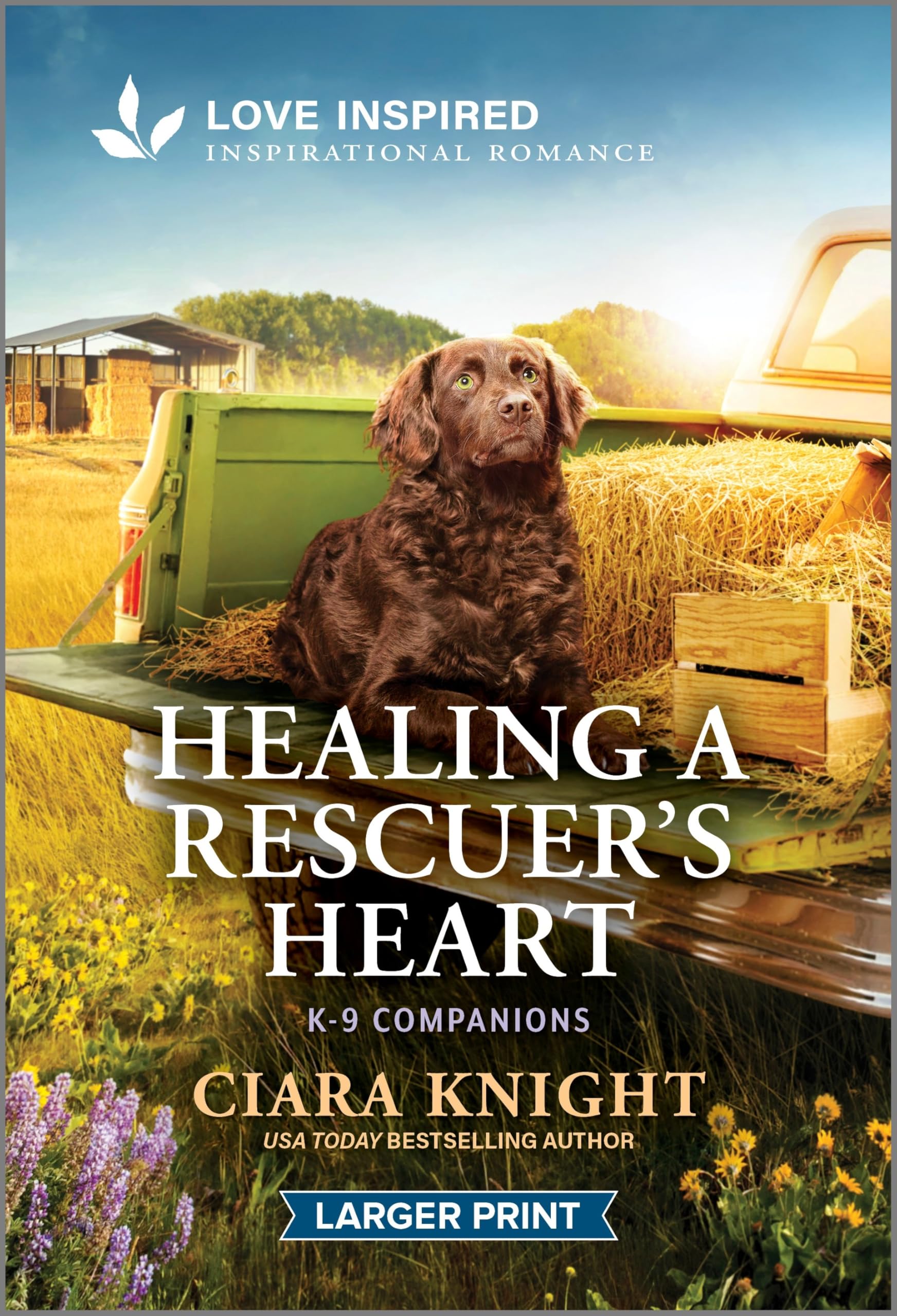 Healing a Rescuer's Heart: An Uplifting Inspirational Romance (K-9 Companions, 43)