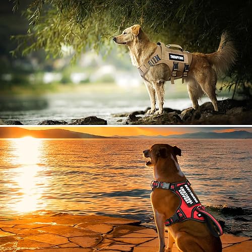 Miniatura 7 de WINSEE Parches para perros de servicio, parche para arnés para perro de servicio (paquete de 2, S)