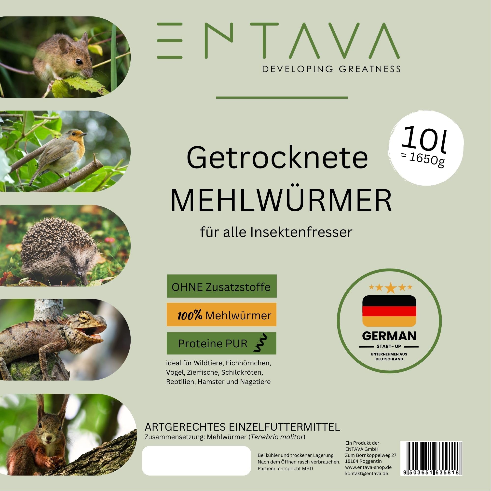 Mehlwürmer getrocknet 10L - Insekten Snack in Premium Qualität, getrocknete Mehlwürmer für Vögel, Fische, Koi, Schildkröten, Nager, Reptilien, Wildvögel, Vogelfutter, Igelfutter