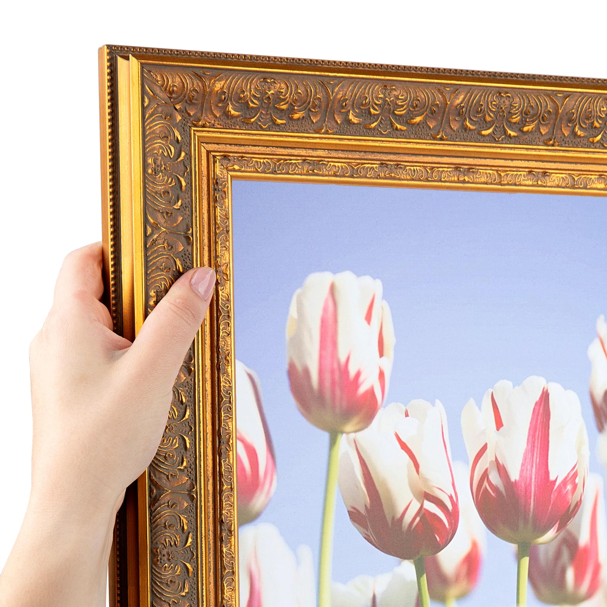 Amazon.co.jp: ArtToFrames 5 x 15インチ マルチ写真フレーム この2.25