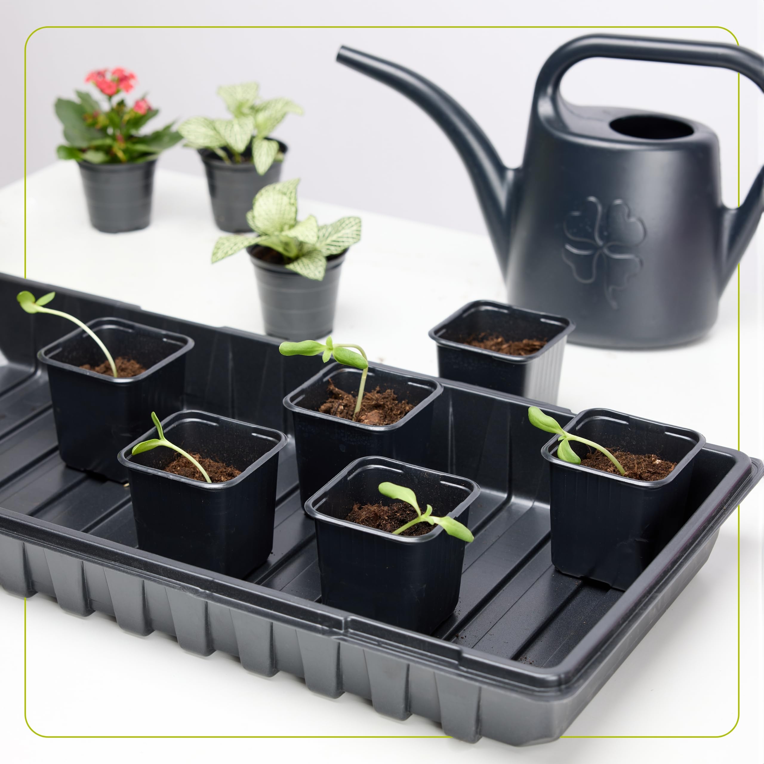 Garronda Plateau de Culture, Bac de Culture en Plastique pour Mini Serre et Semis, Plateau pour Plantes et Jardin, Bac de Germination Étanche, Idéal pour Potager et Balcon, Lot de 4 (60x30 cm, Noir)